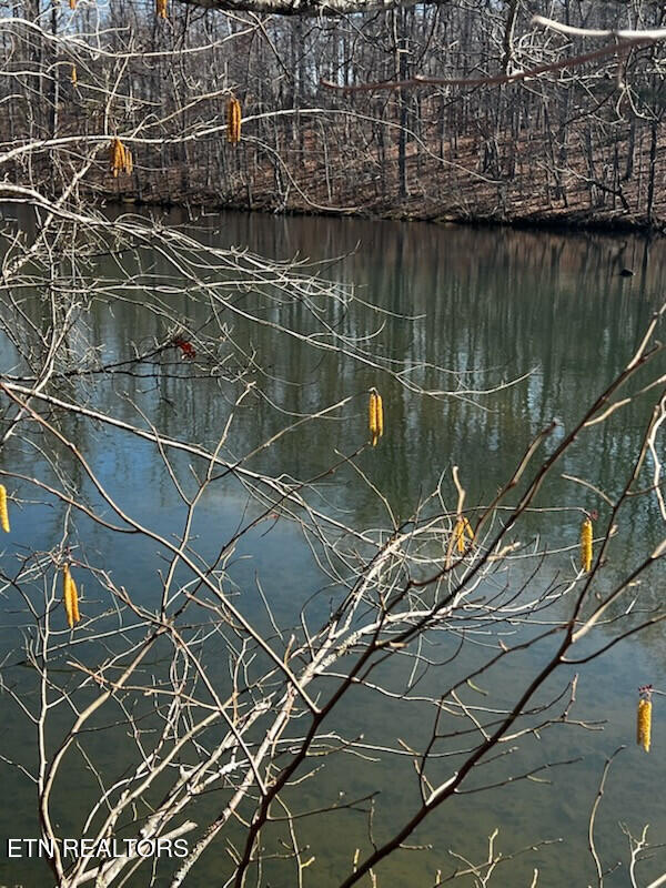 Lot 41 Crystal Point Monterey TN 38574