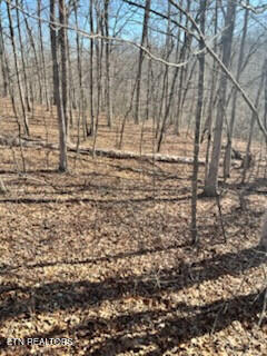 Lot 41 Crystal Point Monterey TN 38574