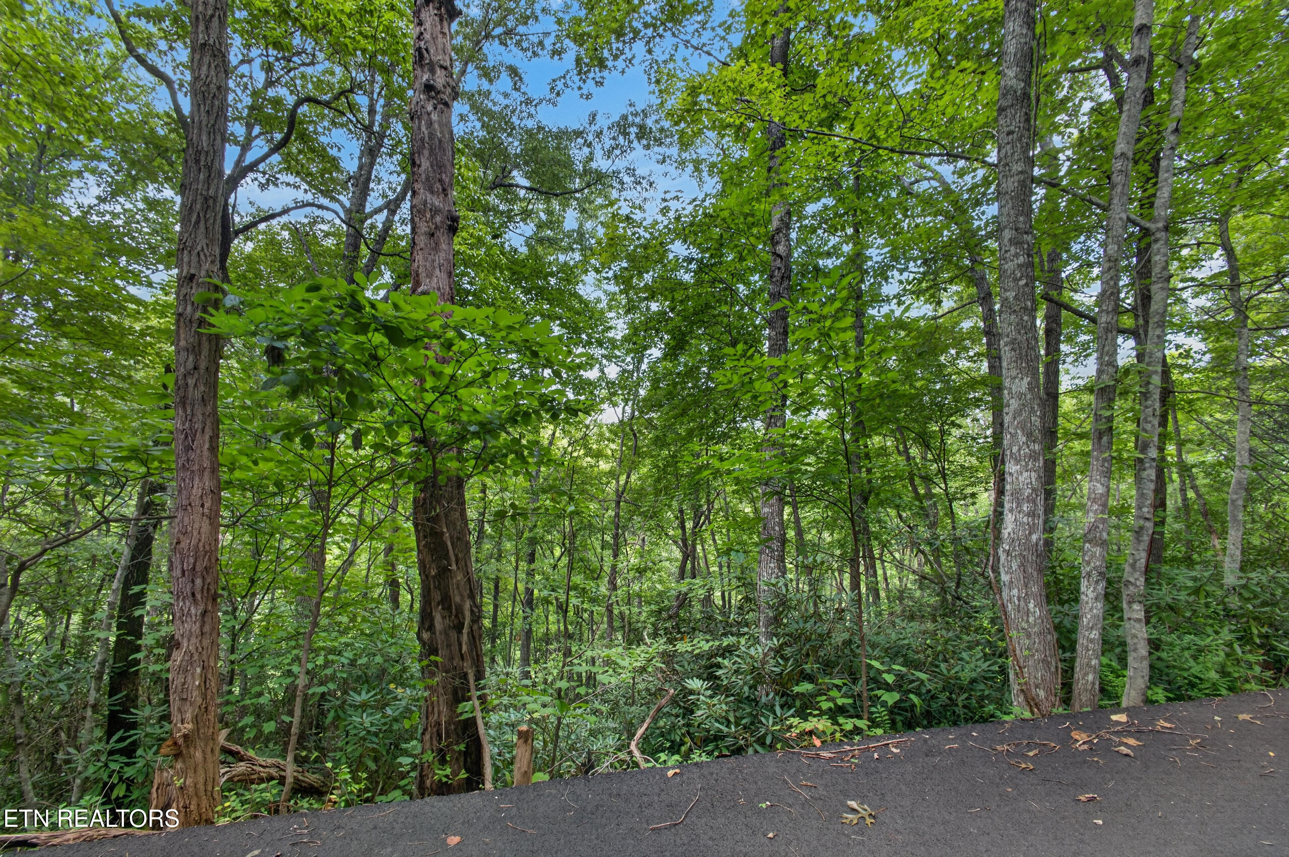 Ownby Circle Gatlinburg TN 37738