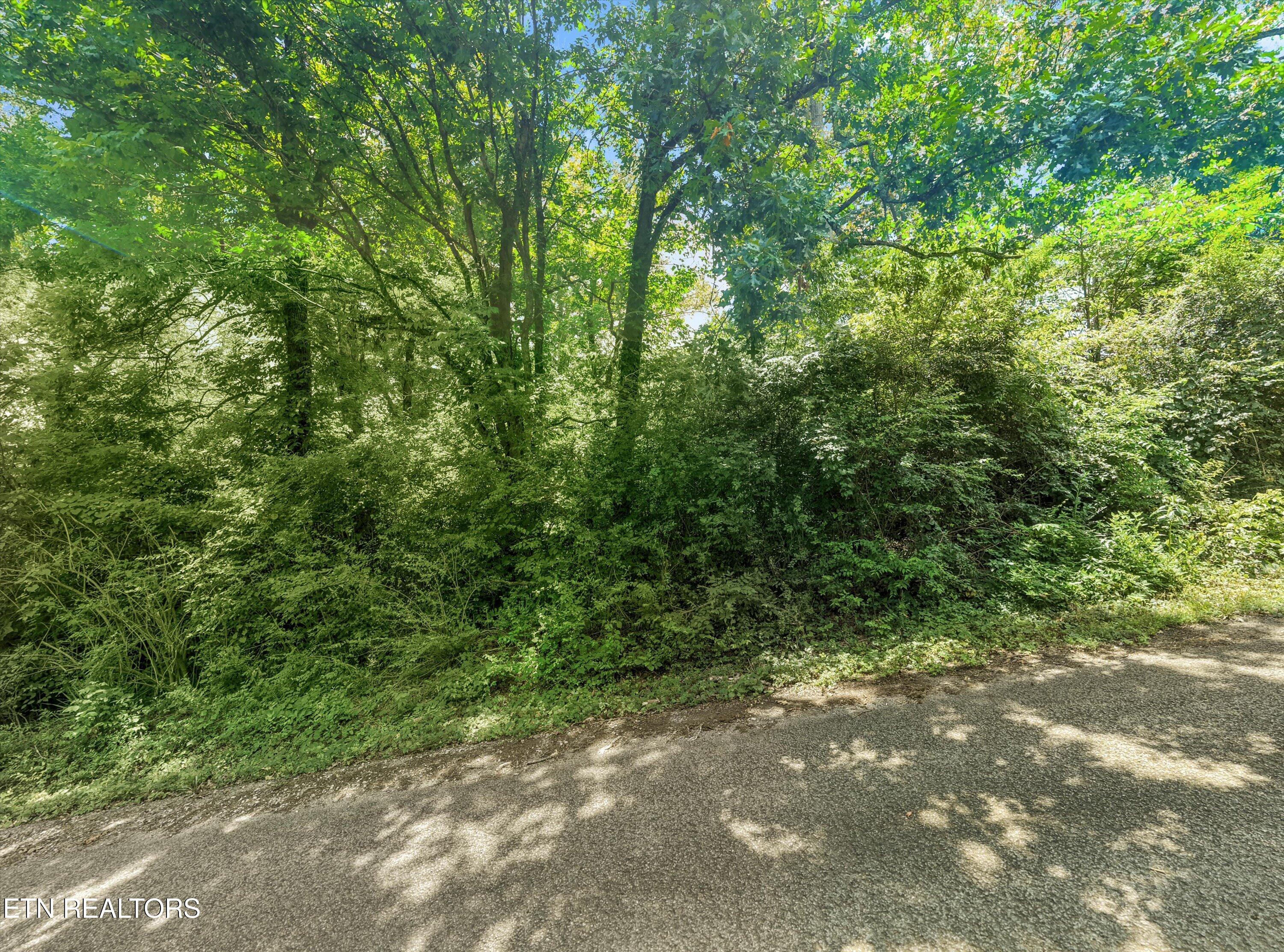 7512 Palmer Lane Knoxville TN 37924