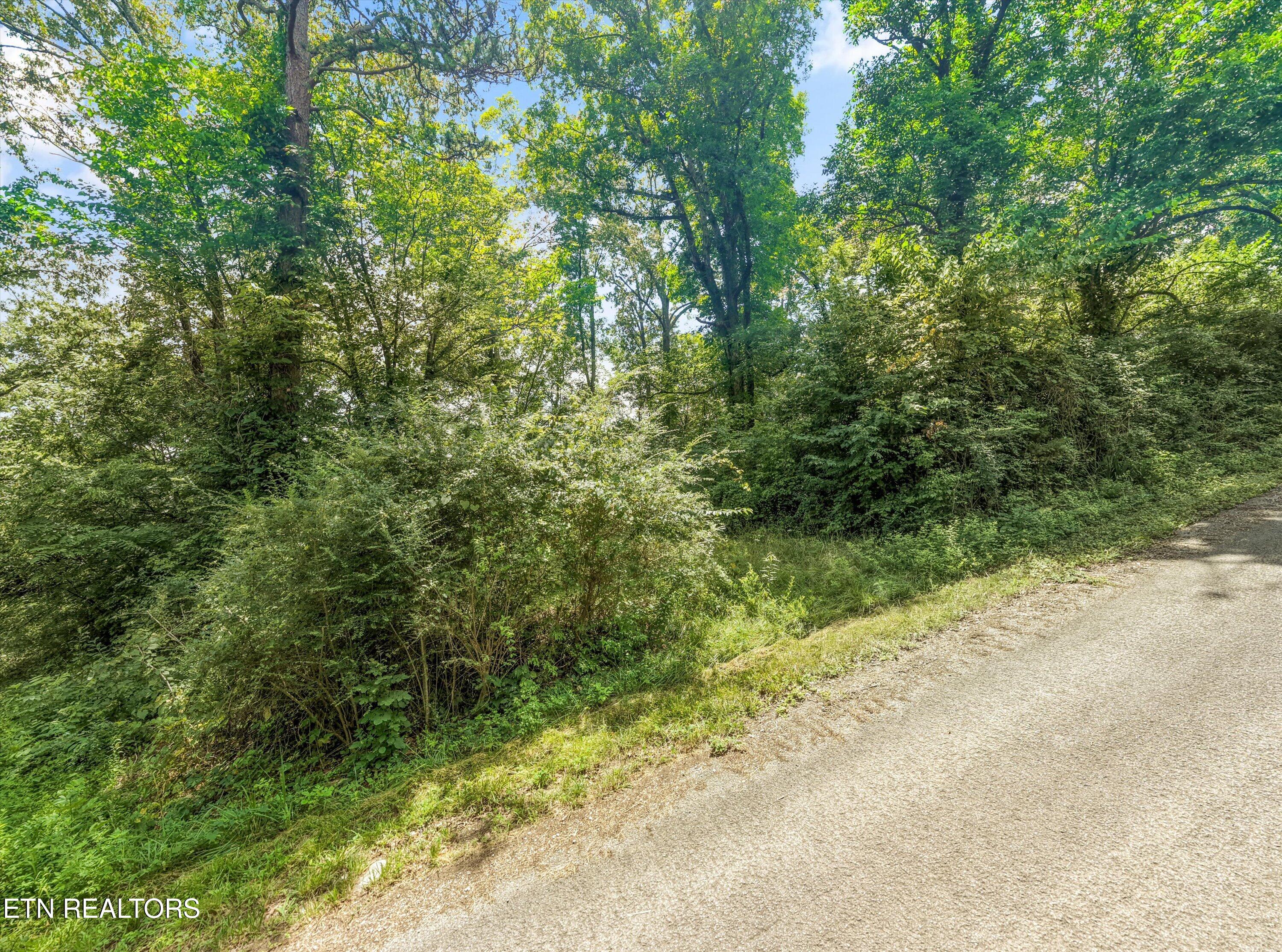 7512 Palmer Lane Knoxville TN 37924