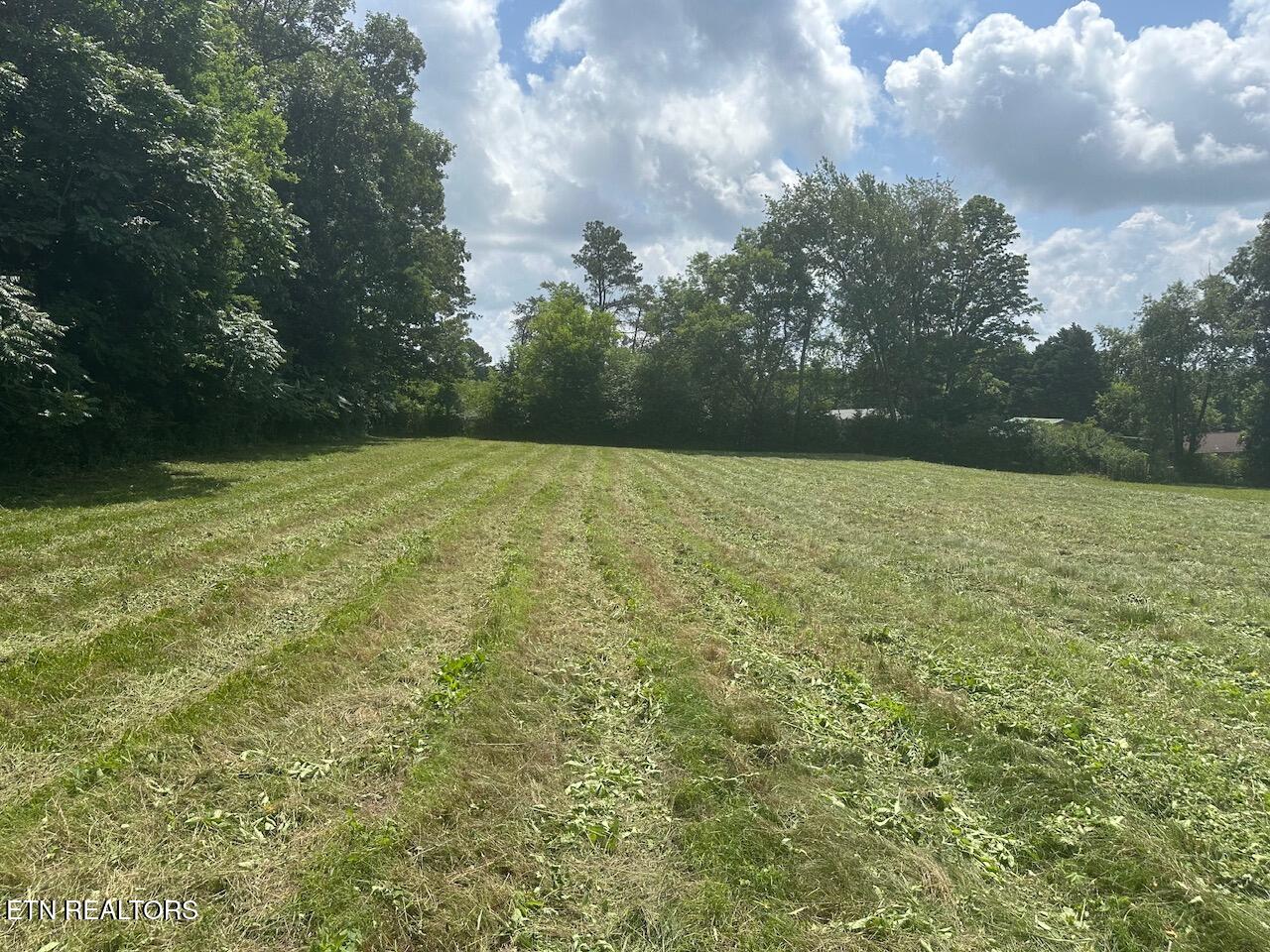 1035 Green Road Madisonville TN 37354