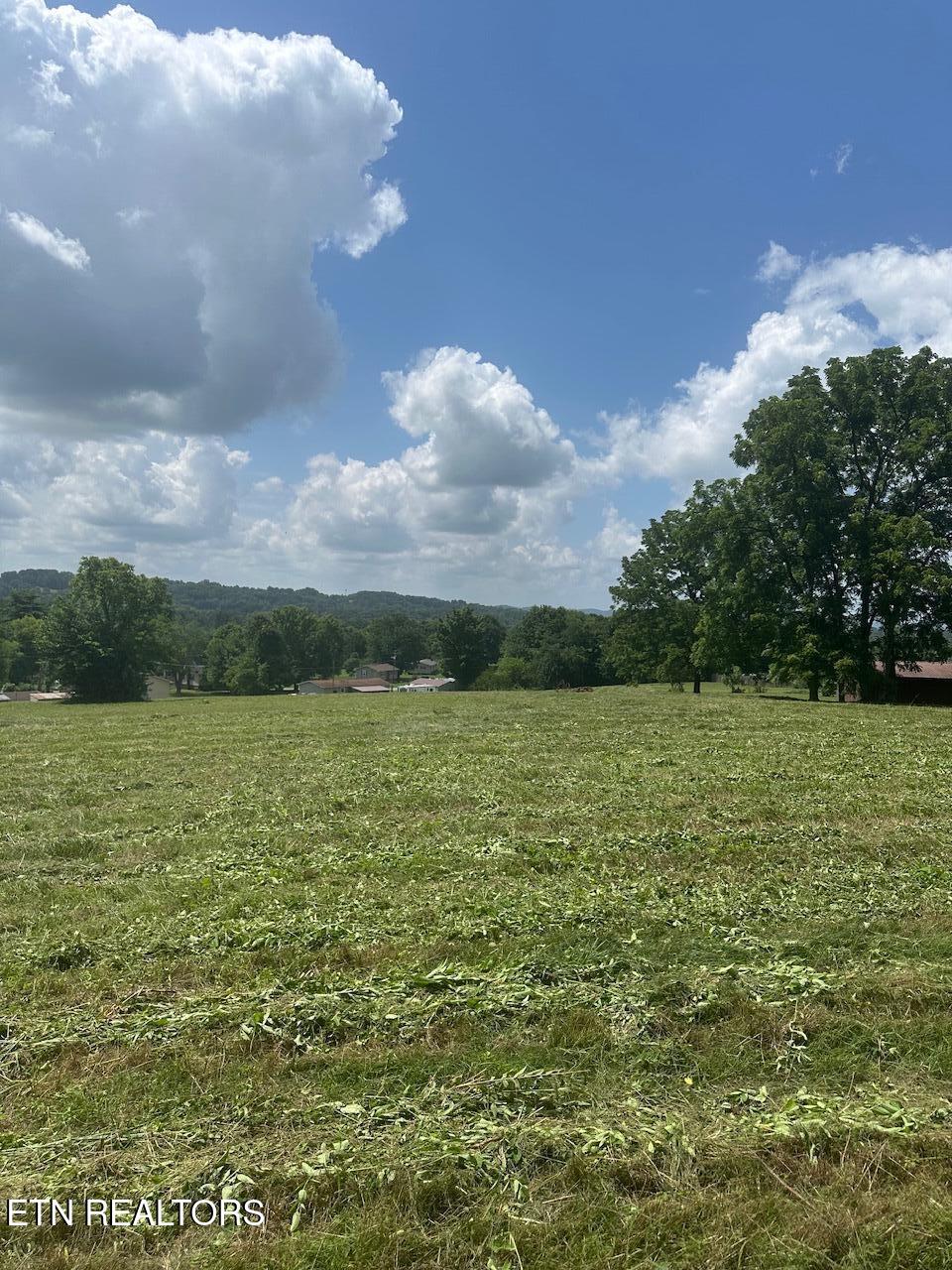 1035 Green Road Madisonville TN 37354