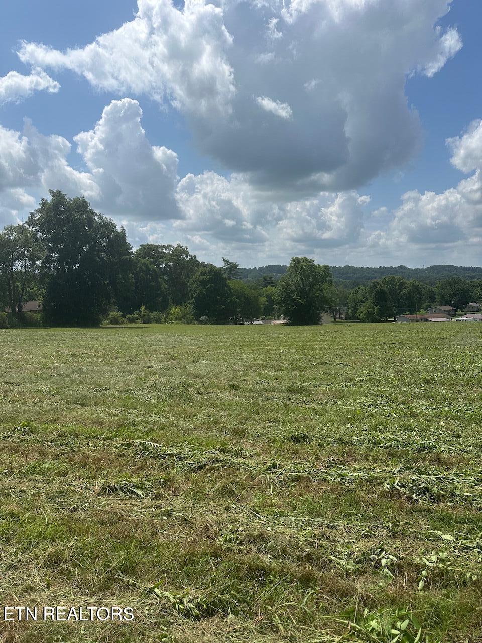 1035 Green Road Madisonville TN 37354