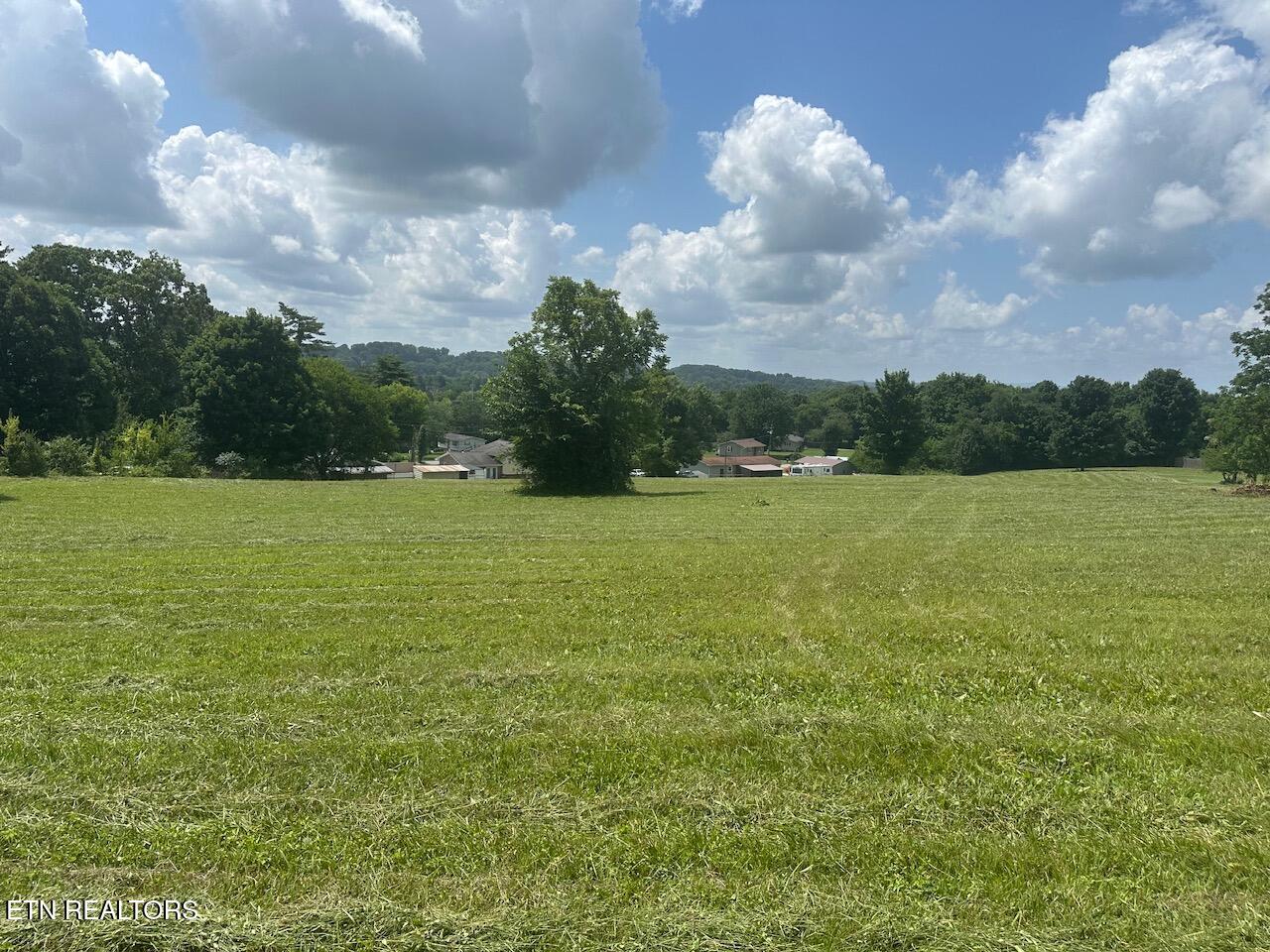 1035 Green Road Madisonville TN 37354