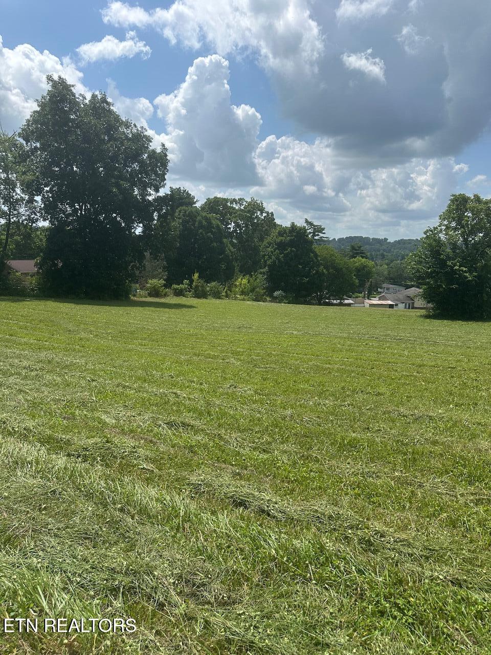 1035 Green Road Madisonville TN 37354