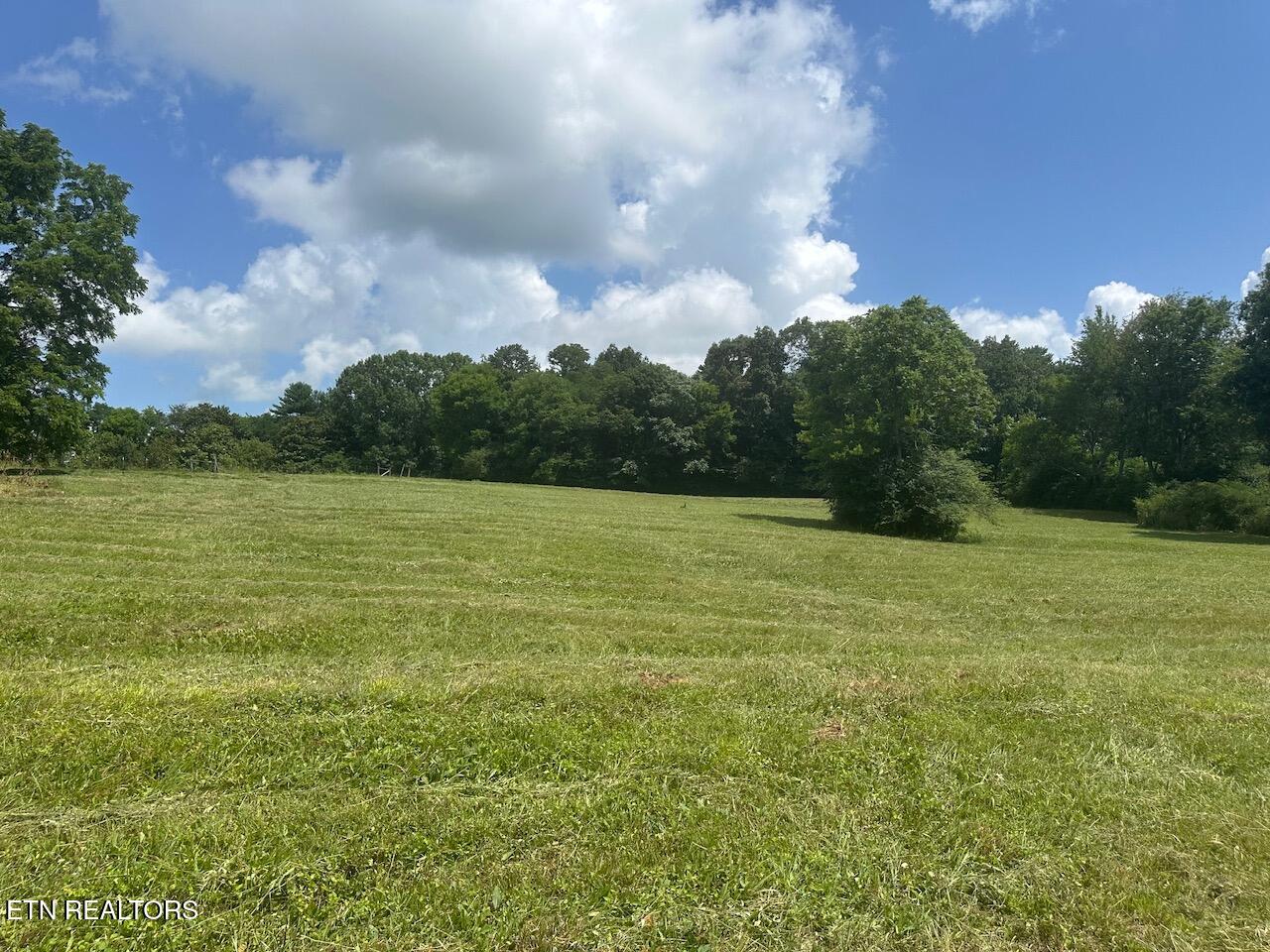 1035 Green Road Madisonville TN 37354