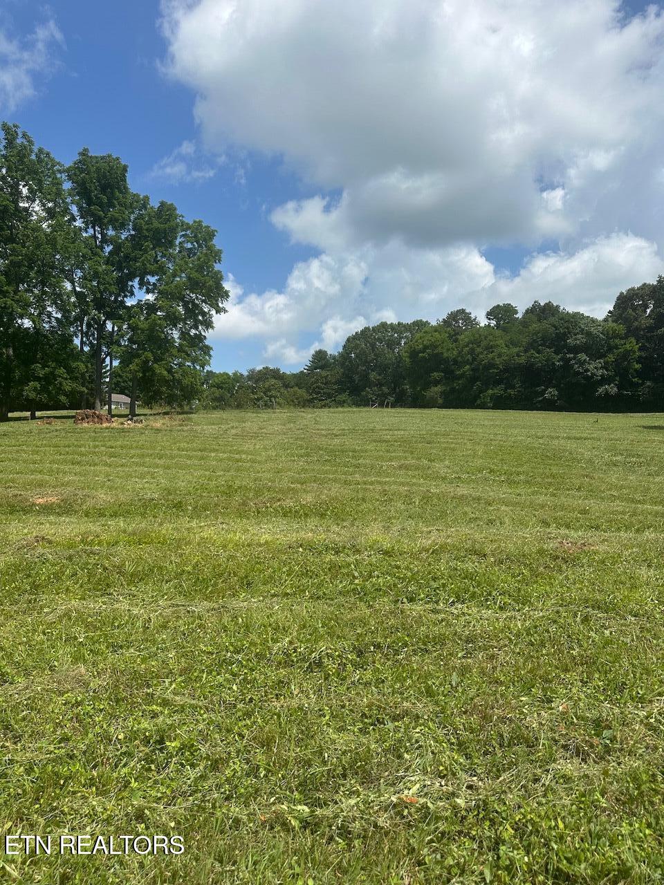 1035 Green Road Madisonville TN 37354