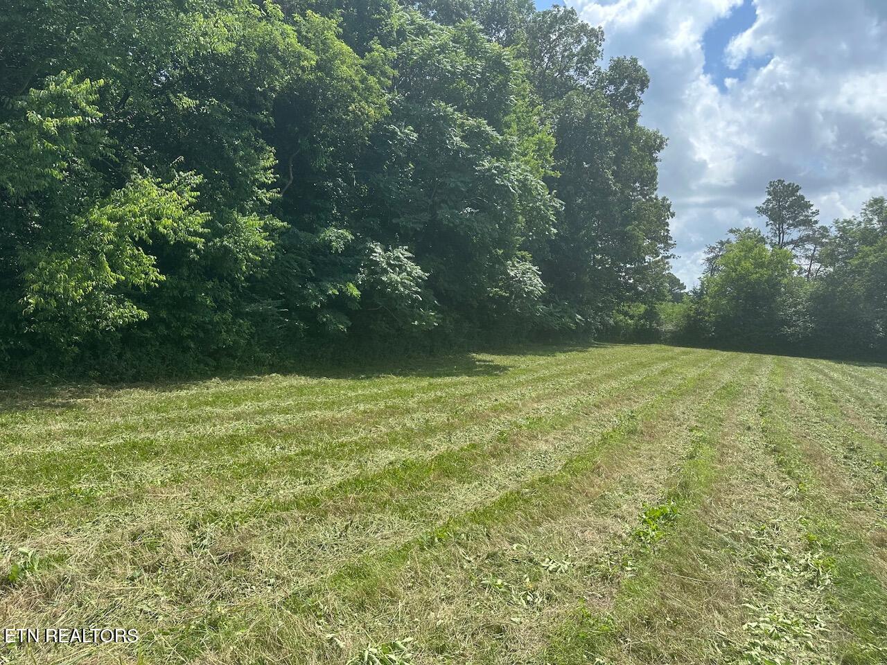 1035 Green Road Madisonville TN 37354