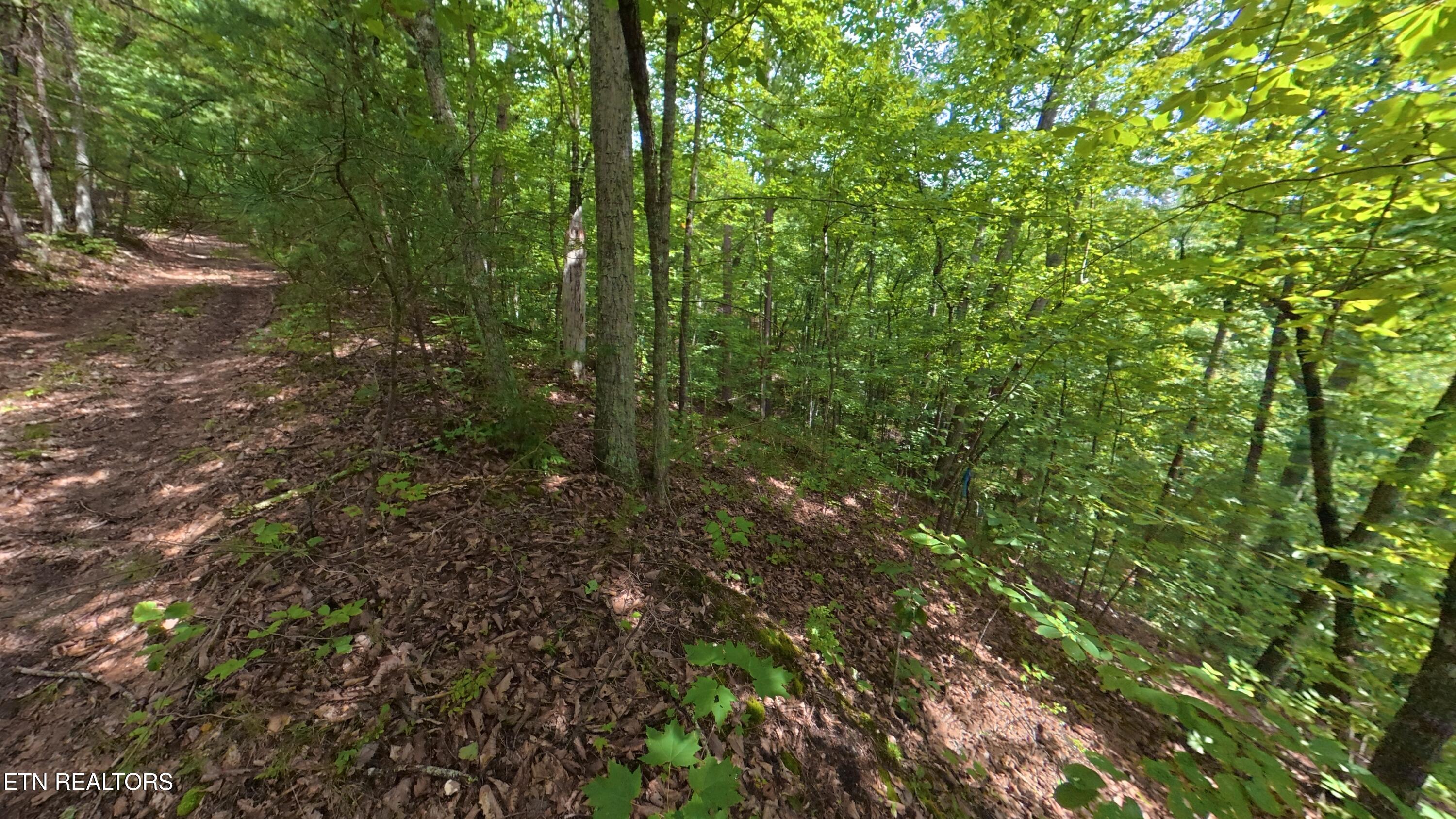 Lot 25 Shady Oaks Way Sevierville TN 37876