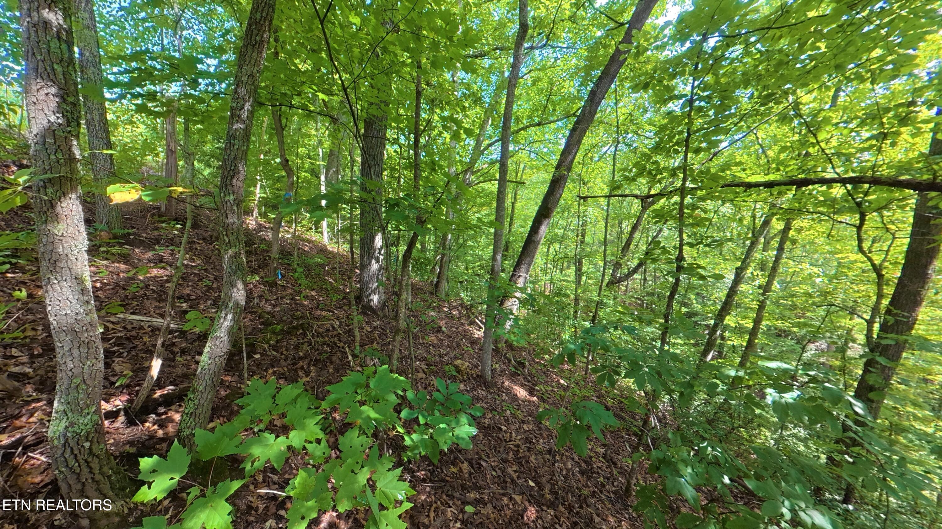 Lot 25 Shady Oaks Way Sevierville TN 37876
