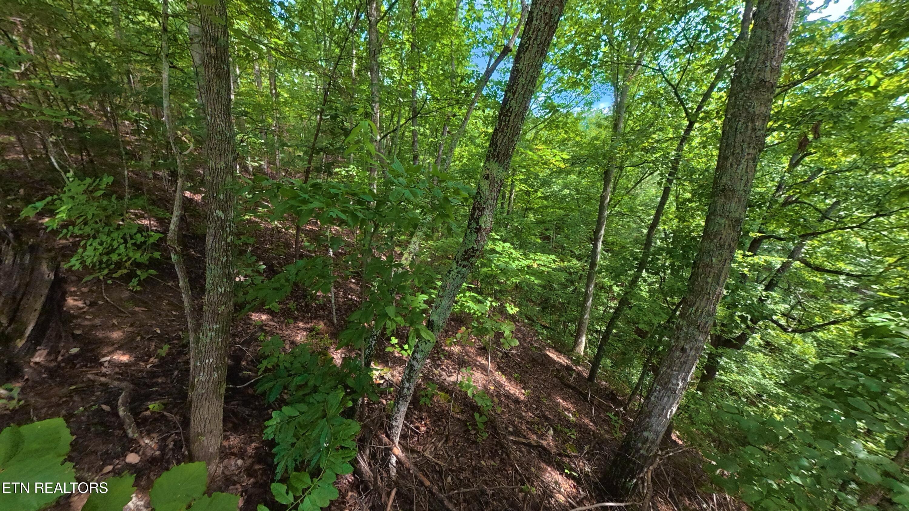 Lot 25 Shady Oaks Way Sevierville TN 37876