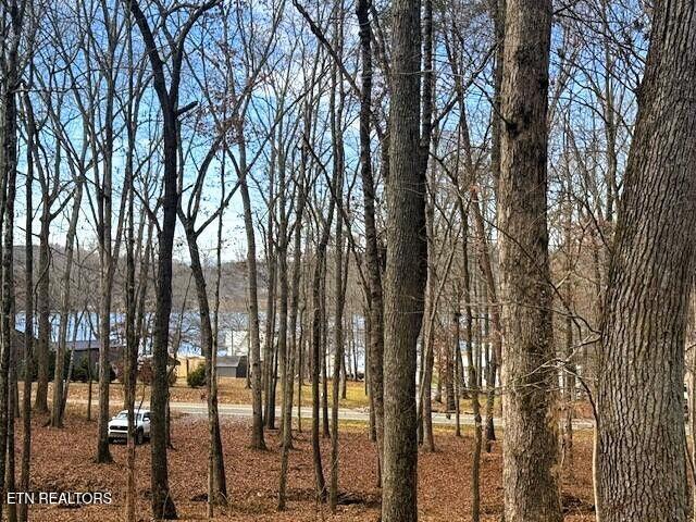 Lakeview 3 Highway 304 Ten Mile TN 37880