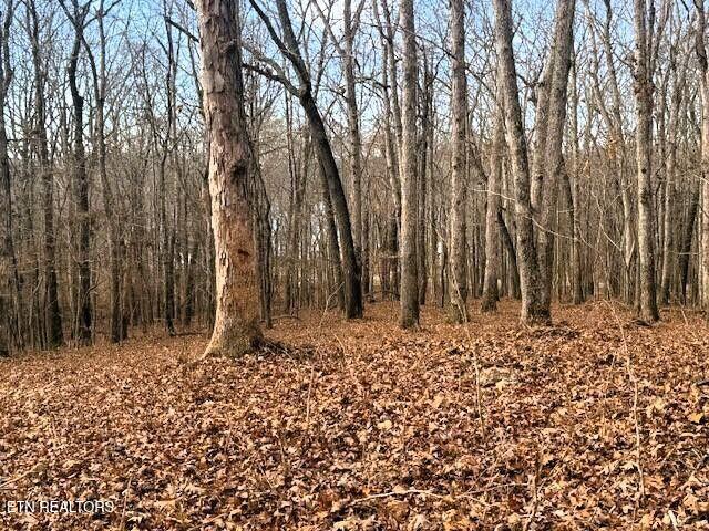 Lakeview 3 Highway 304 Ten Mile TN 37880