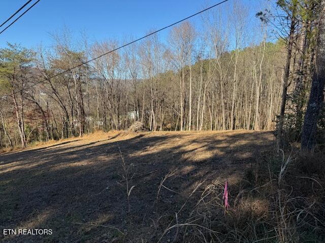 Lot 22 Moon Circle Spring City TN 37381