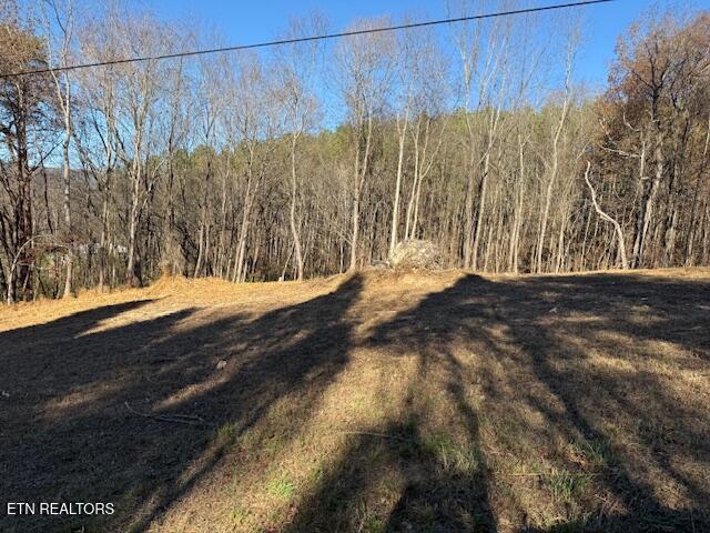 Lot 22 Moon Circle Spring City TN 37381