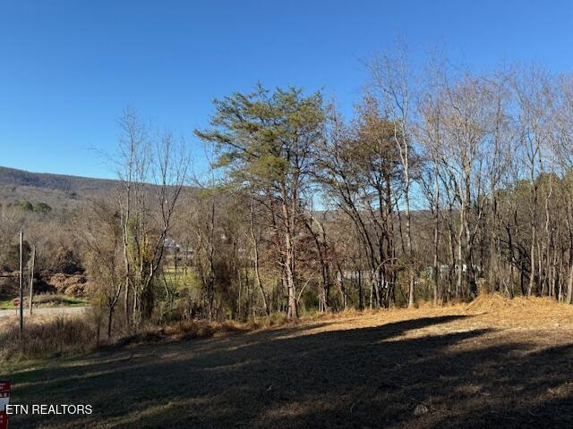 Lot 22 Moon Circle Spring City TN 37381