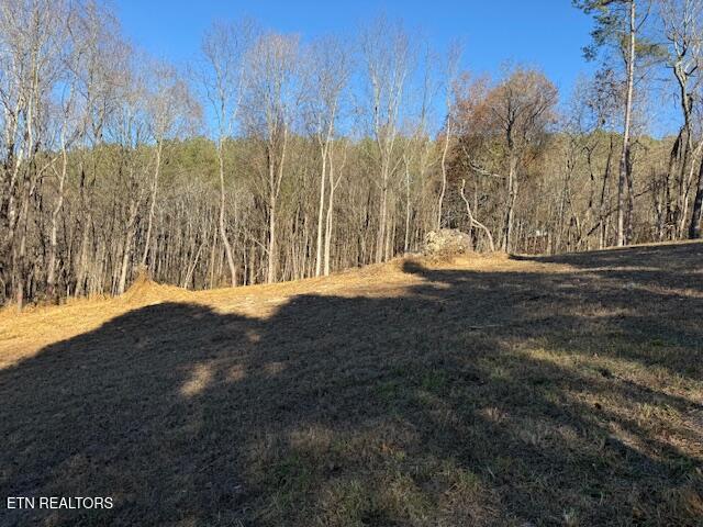 Lot 22 Moon Circle Spring City TN 37381