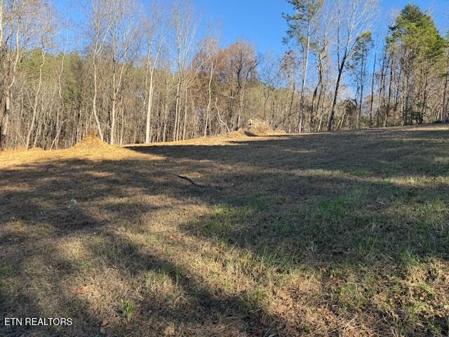 Lot 22 Moon Circle Spring City TN 37381