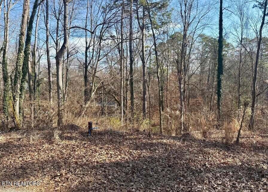 Lot 43,44, Mayflower Lane Dandridge TN 37725