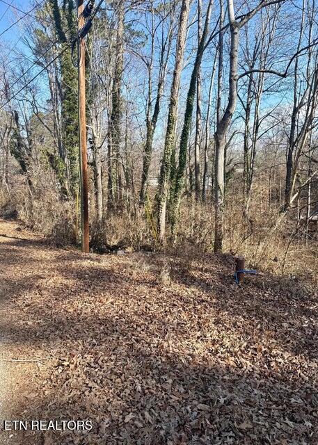 Lot 43,44, Mayflower Lane Dandridge TN 37725