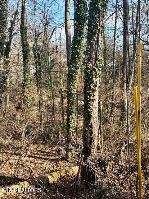 Lot 43,44, Mayflower Lane Dandridge TN 37725