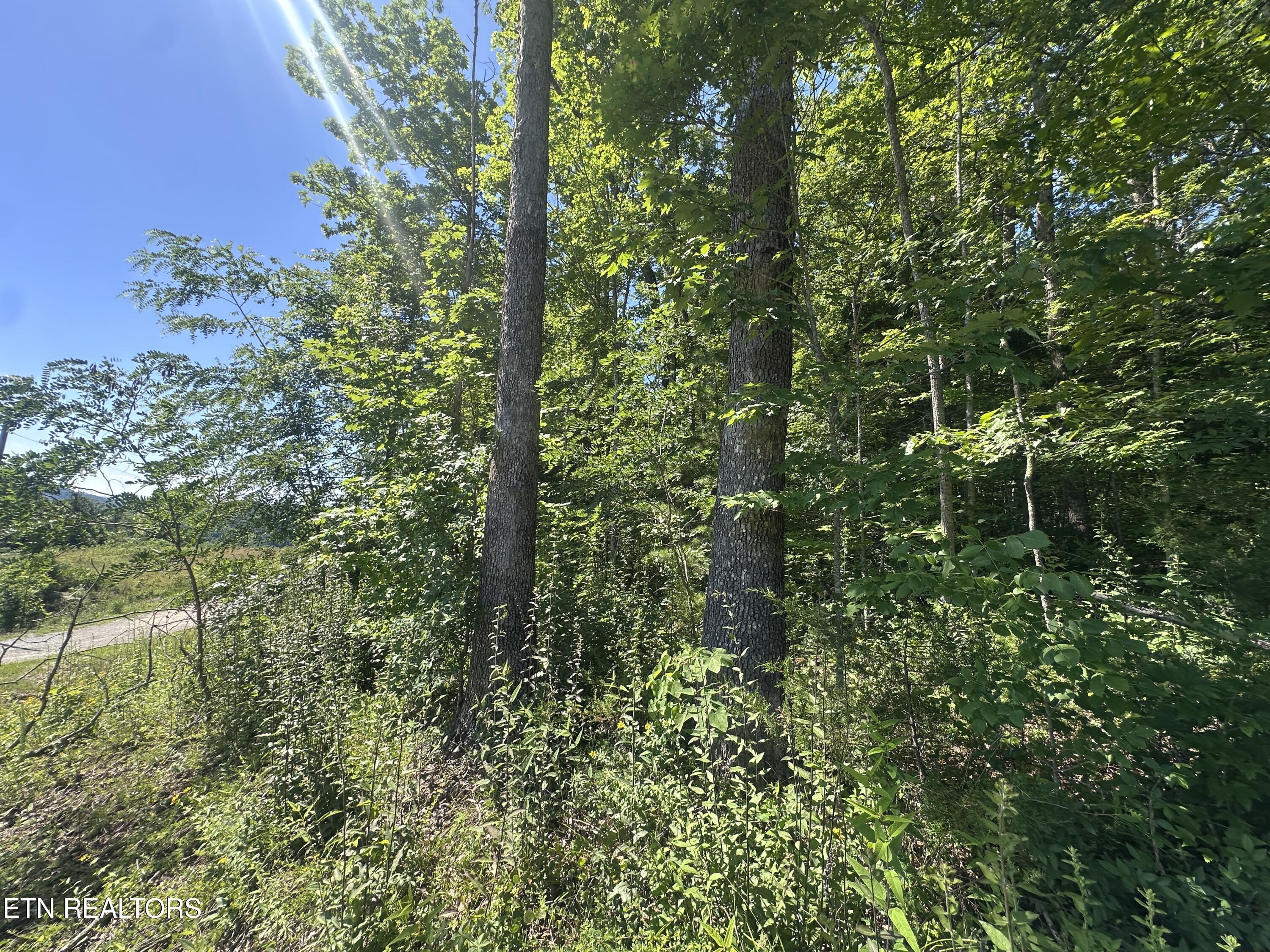 1020 Tomahawk Road Jamestown TN 38556