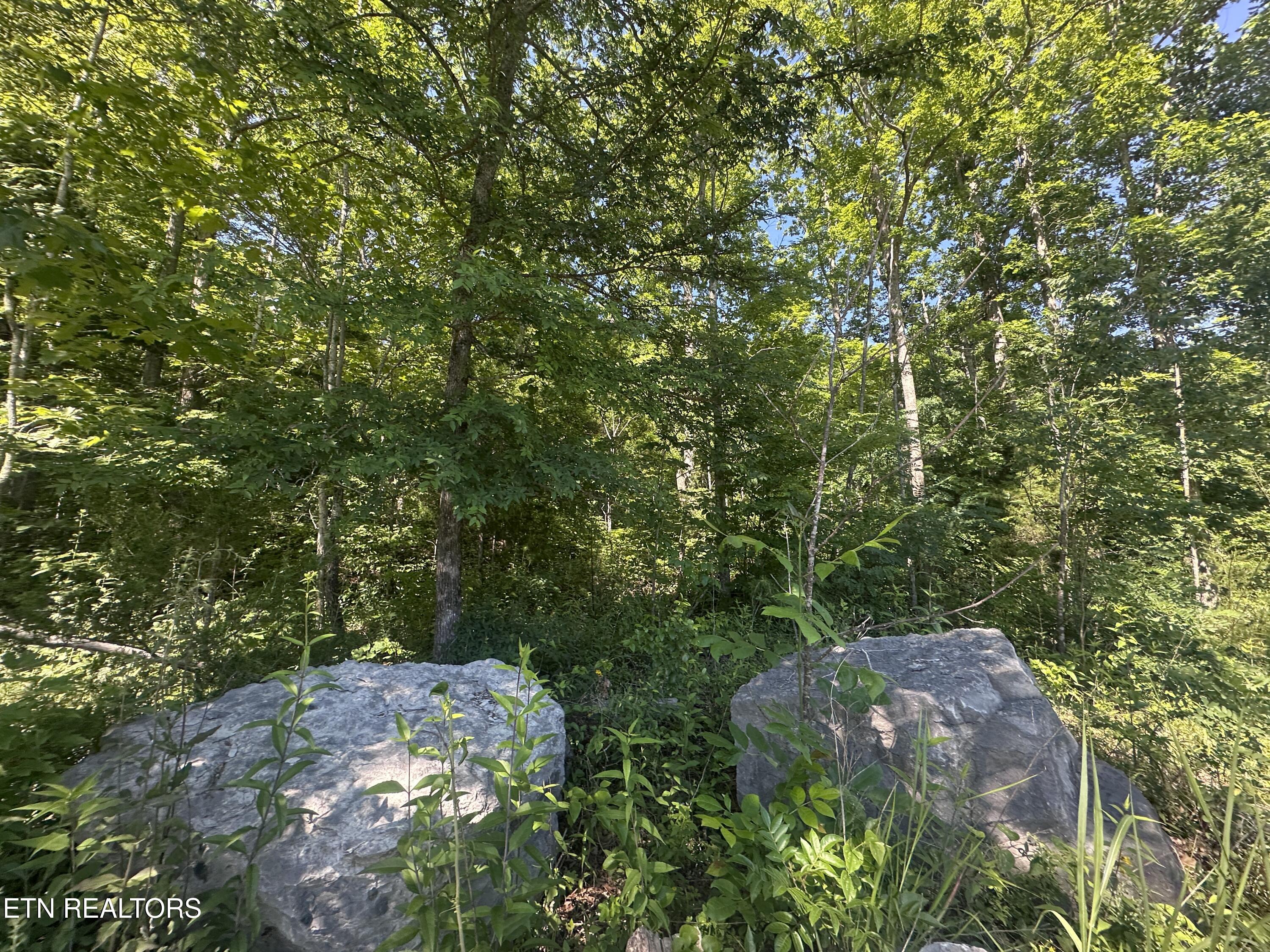 1020 Tomahawk Road Jamestown TN 38556