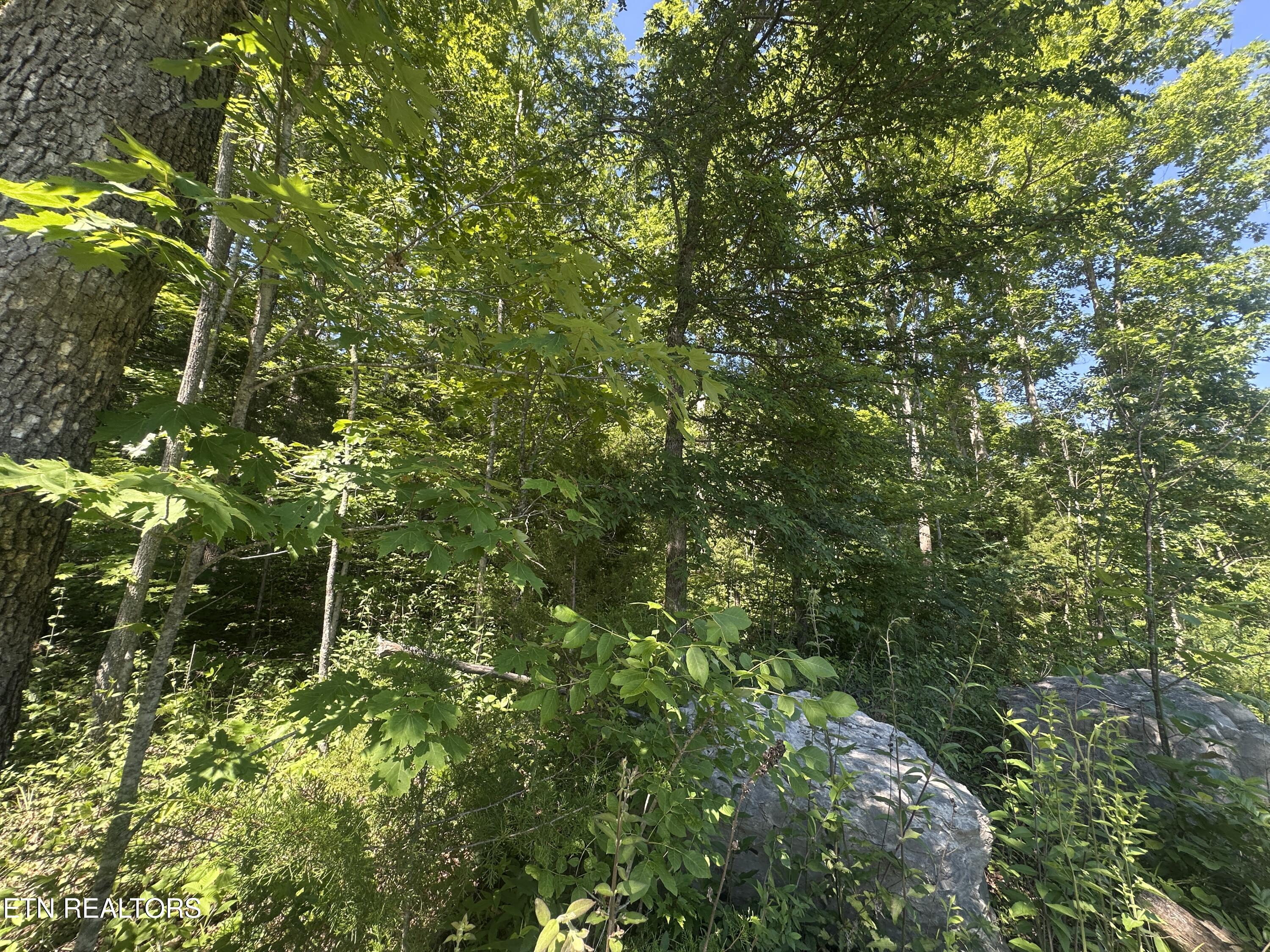 1020 Tomahawk Road Jamestown TN 38556