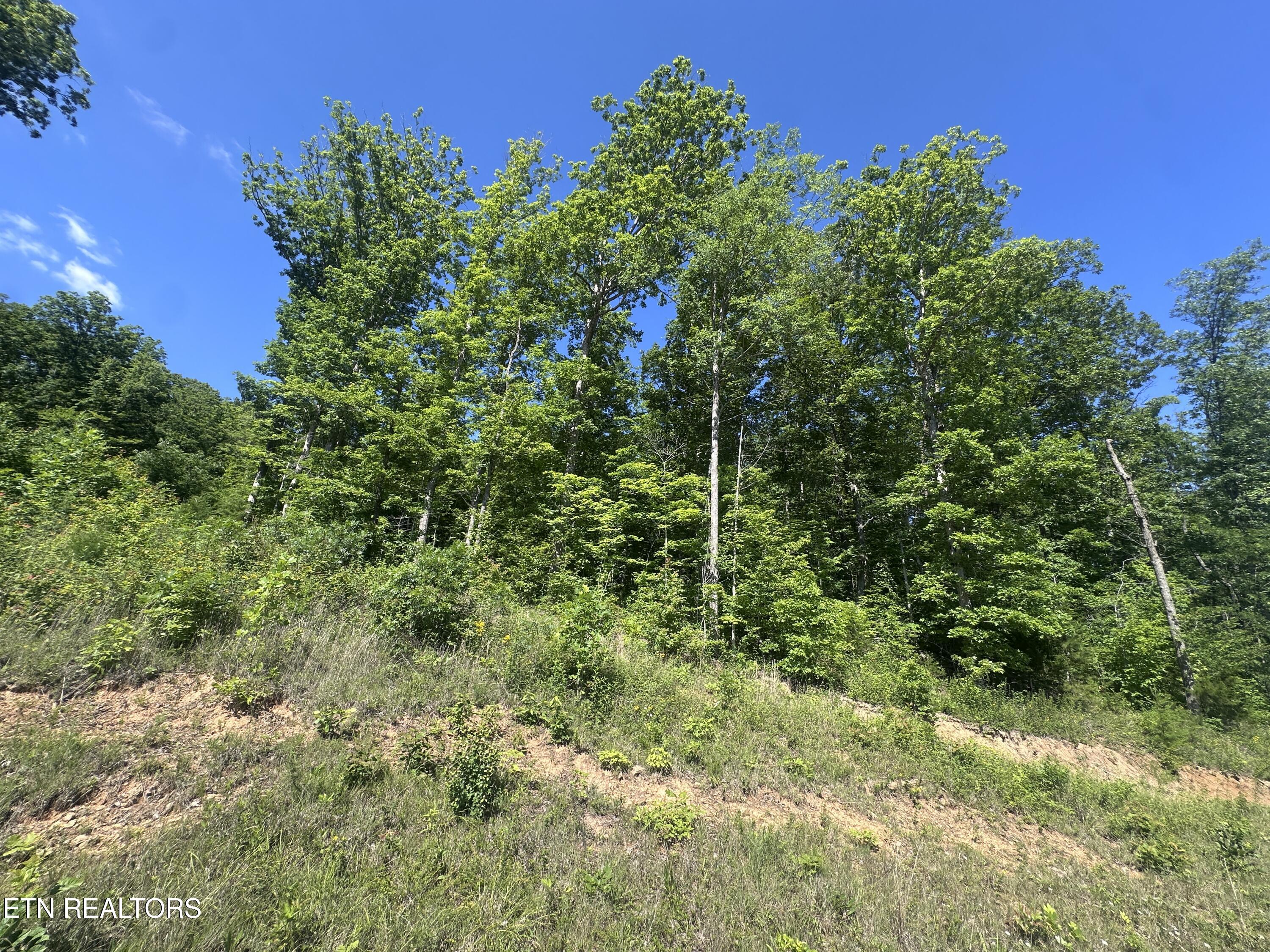 1020 Tomahawk Road Jamestown TN 38556