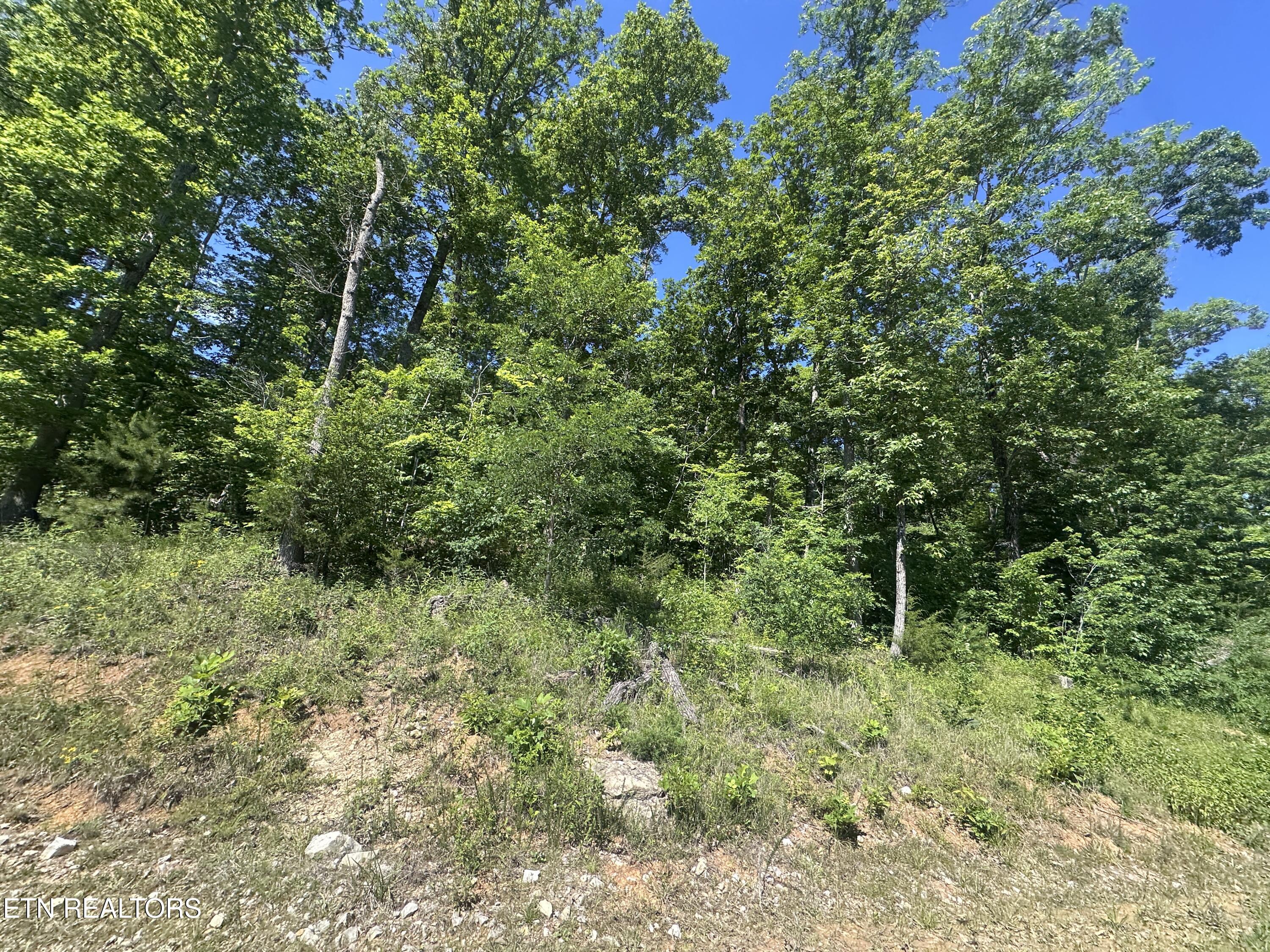 1020 Tomahawk Road Jamestown TN 38556