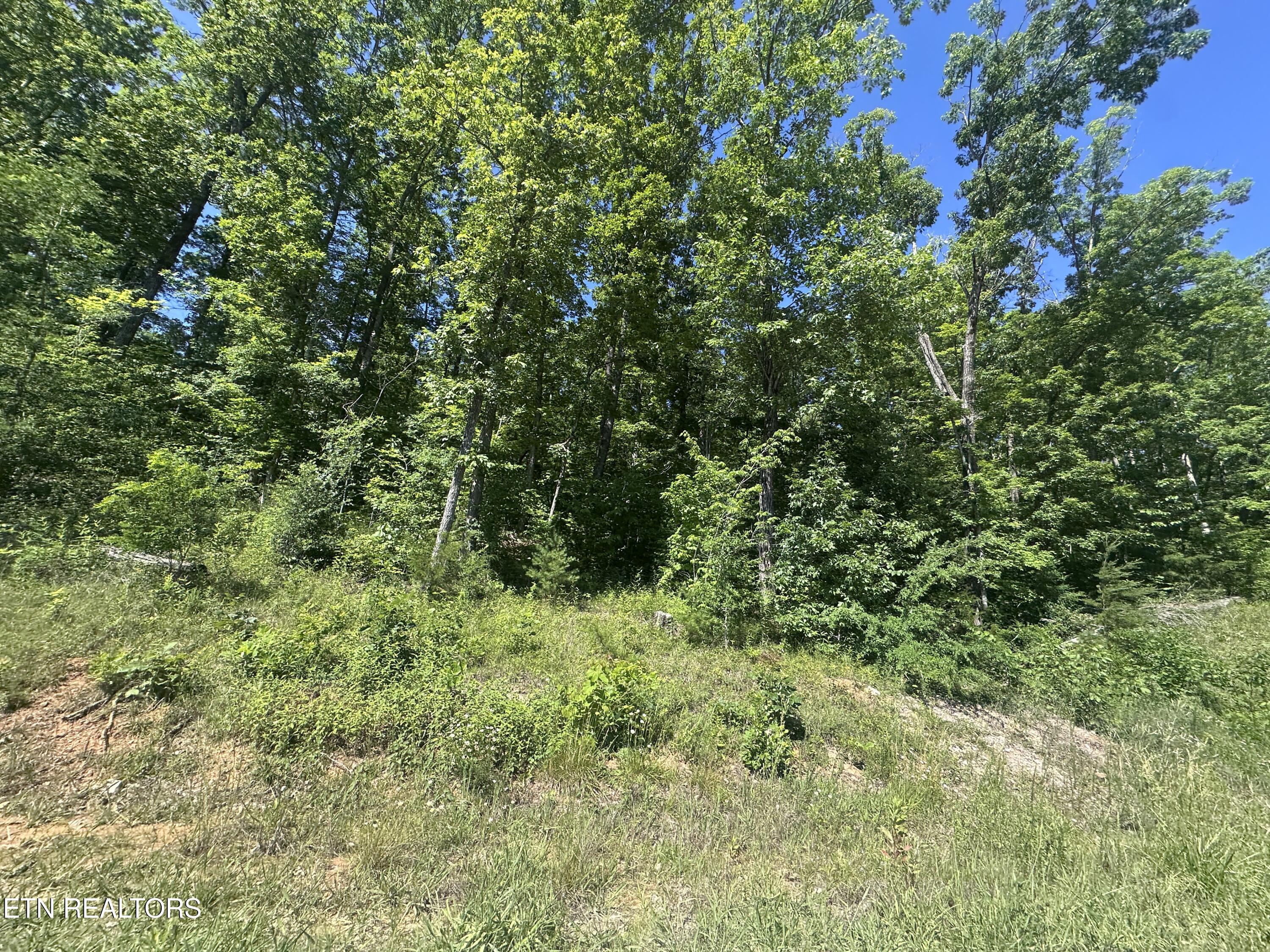 1020 Tomahawk Road Jamestown TN 38556