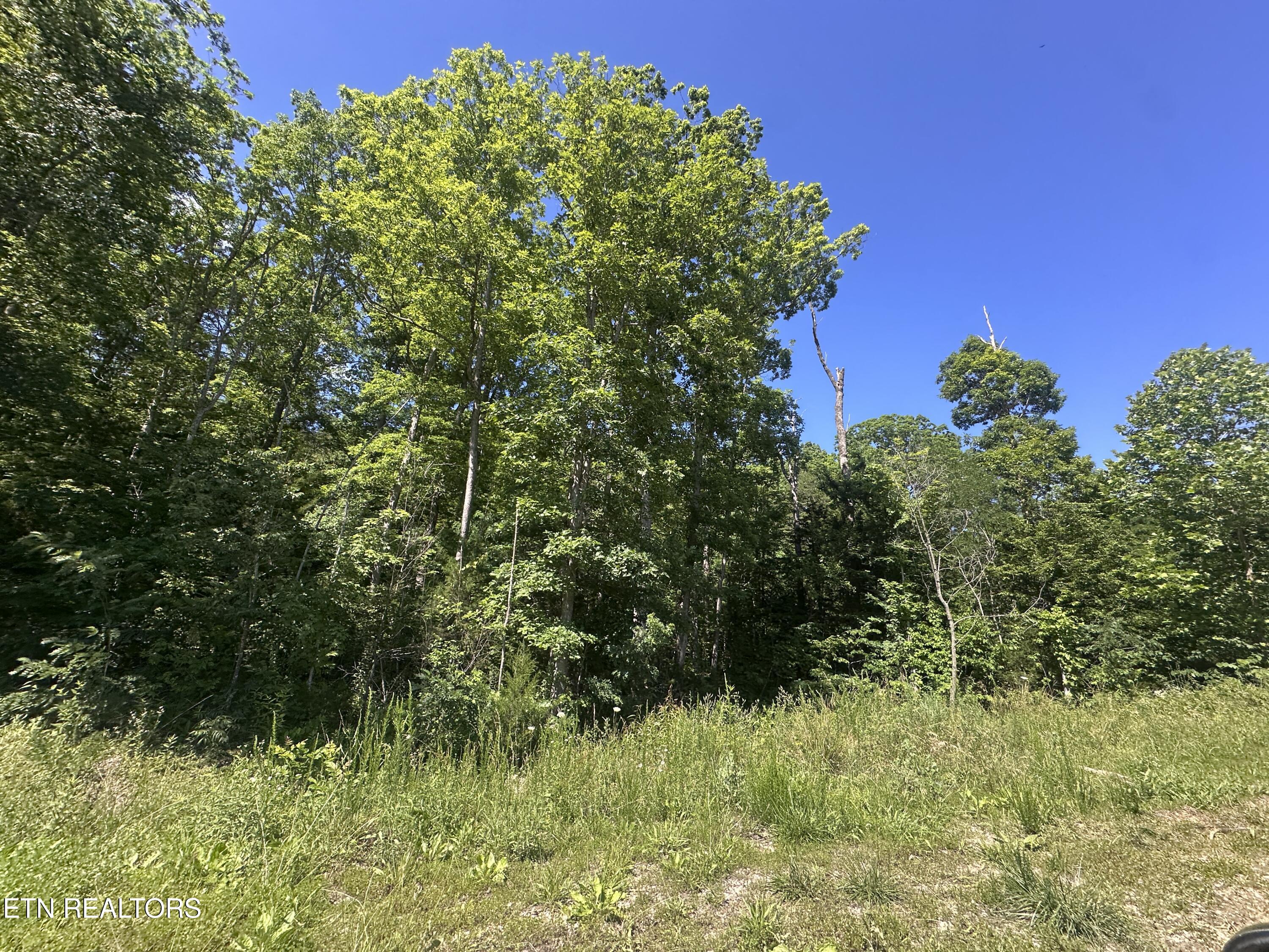 1020 Tomahawk Road Jamestown TN 38556