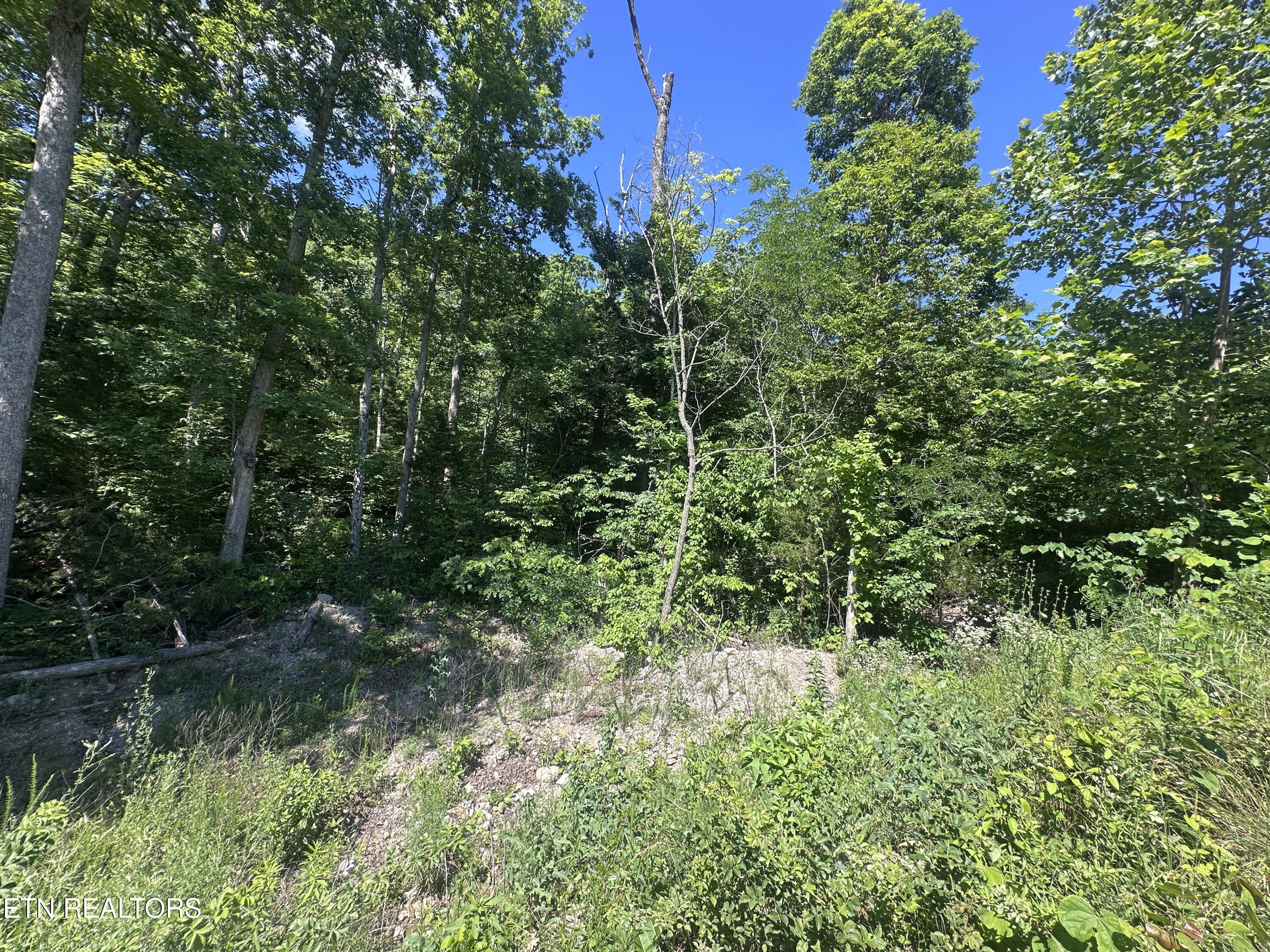 1020 Tomahawk Road Jamestown TN 38556