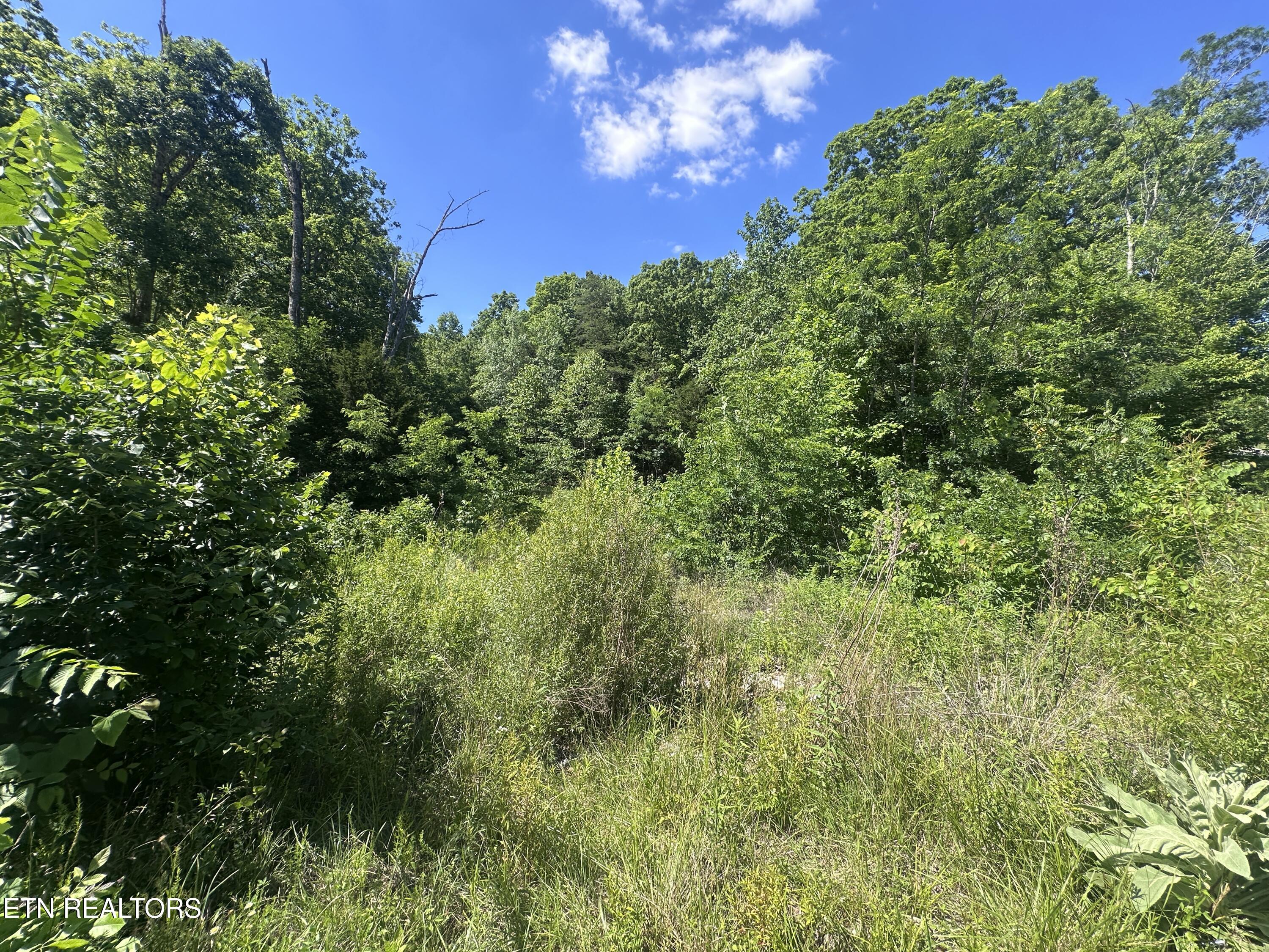 1020 Tomahawk Road Jamestown TN 38556