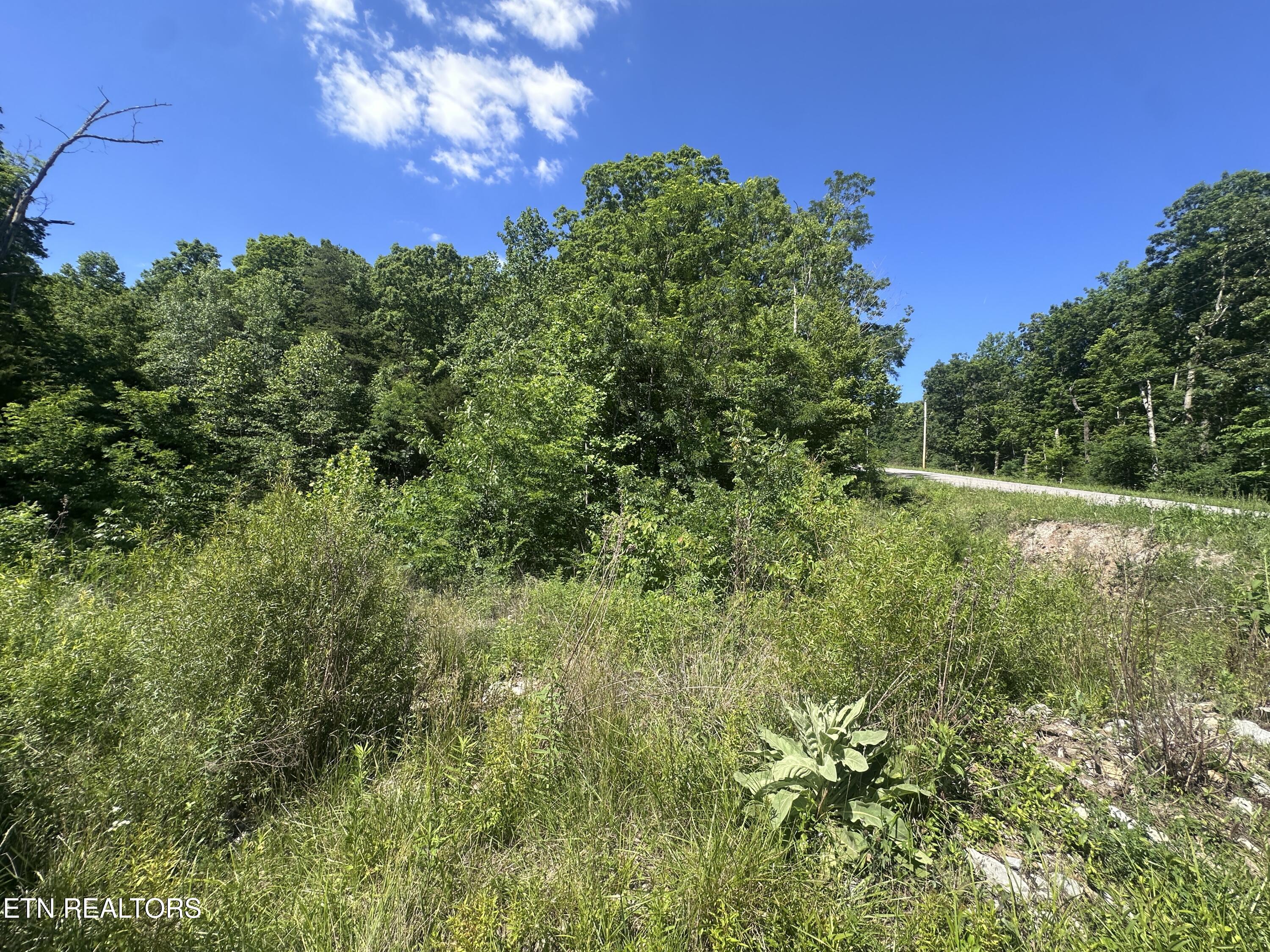 1020 Tomahawk Road Jamestown TN 38556