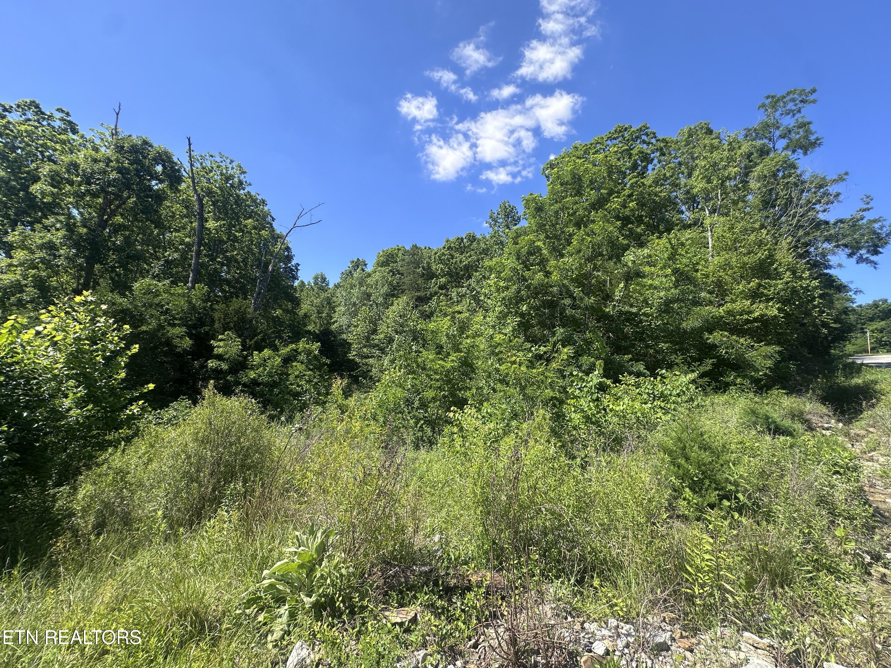 1020 Tomahawk Road Jamestown TN 38556