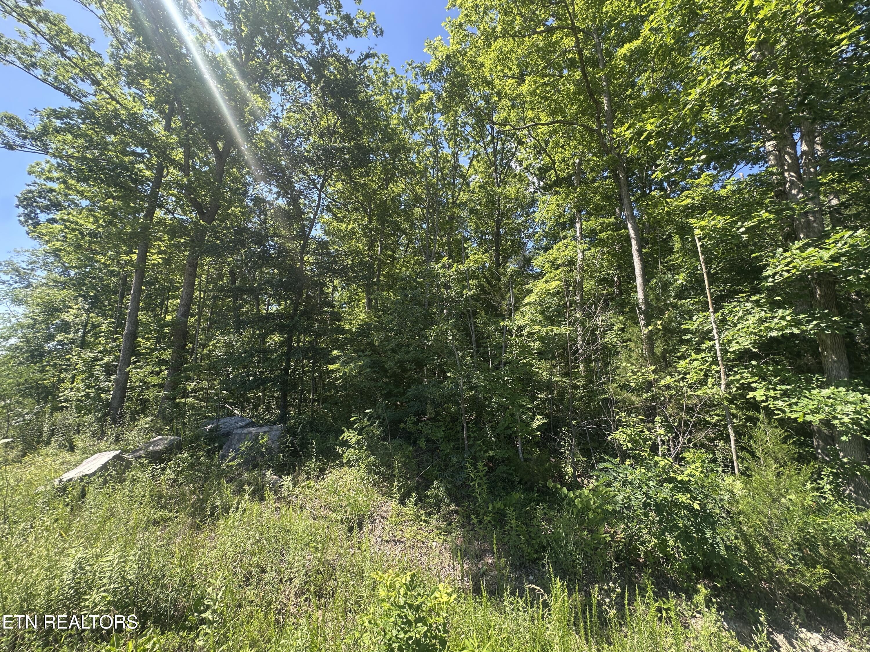1020 Tomahawk Road Jamestown TN 38556