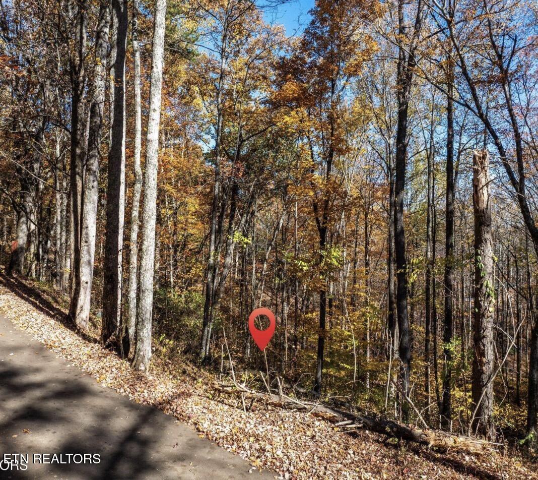 1032 Deep Hollow Road Gatlinburg TN 37738