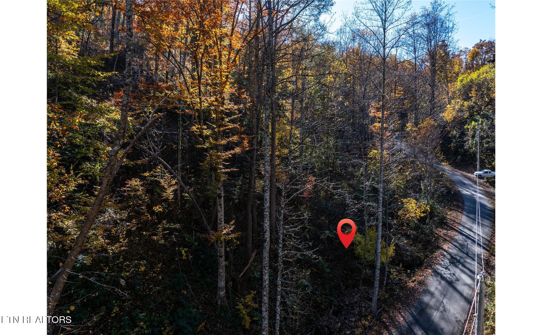 1032 Deep Hollow Road Gatlinburg TN 37738