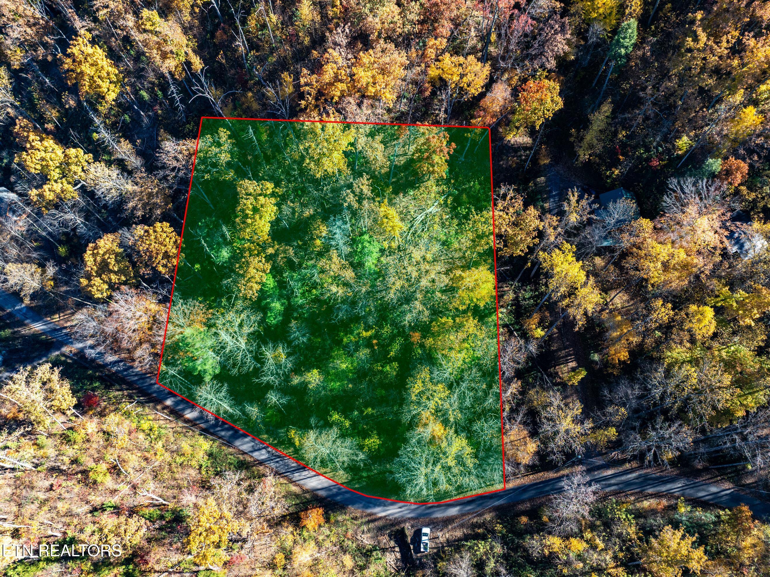 1032 Deep Hollow Road Gatlinburg TN 37738