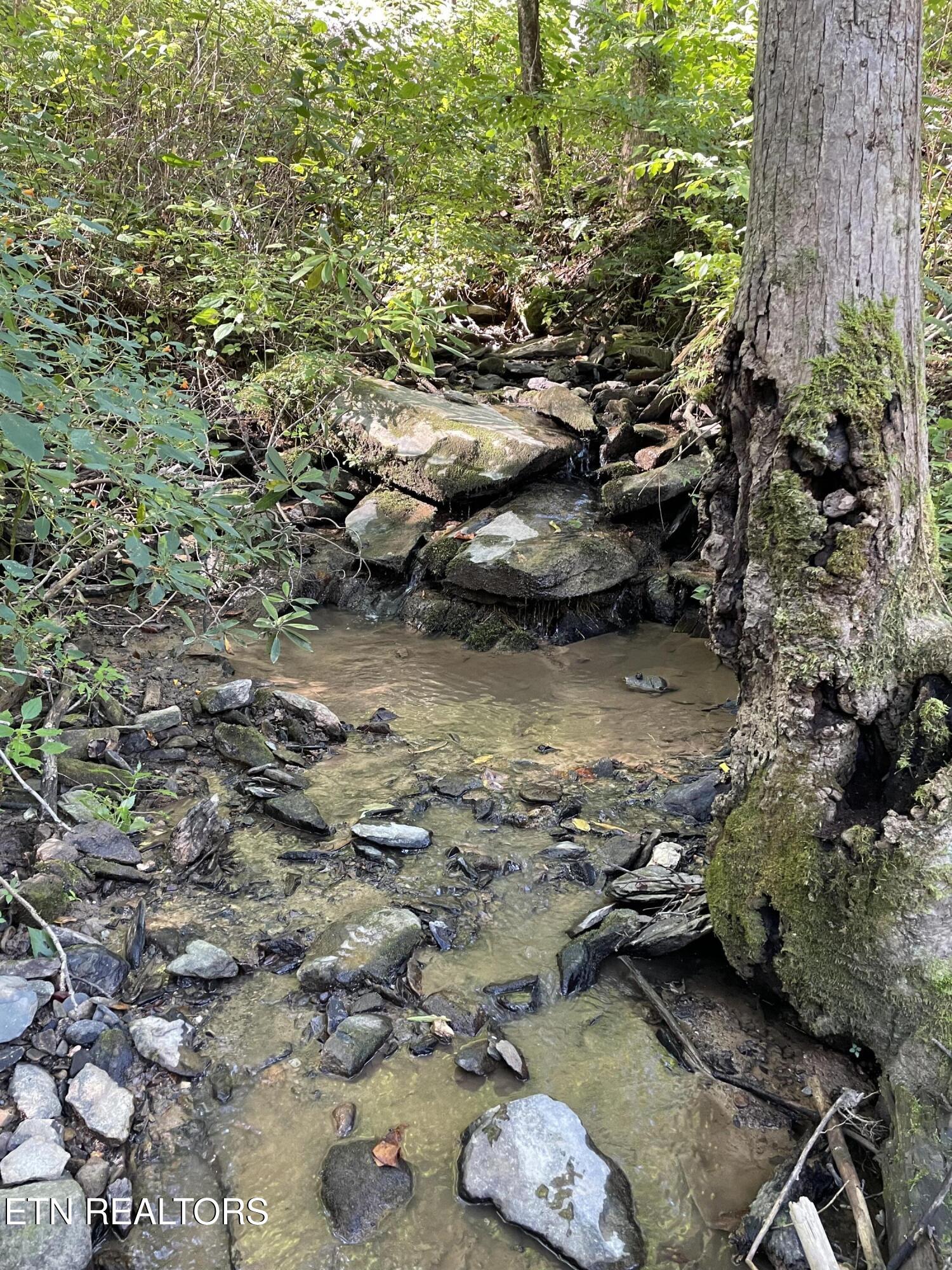 1032 Deep Hollow Road Gatlinburg TN 37738