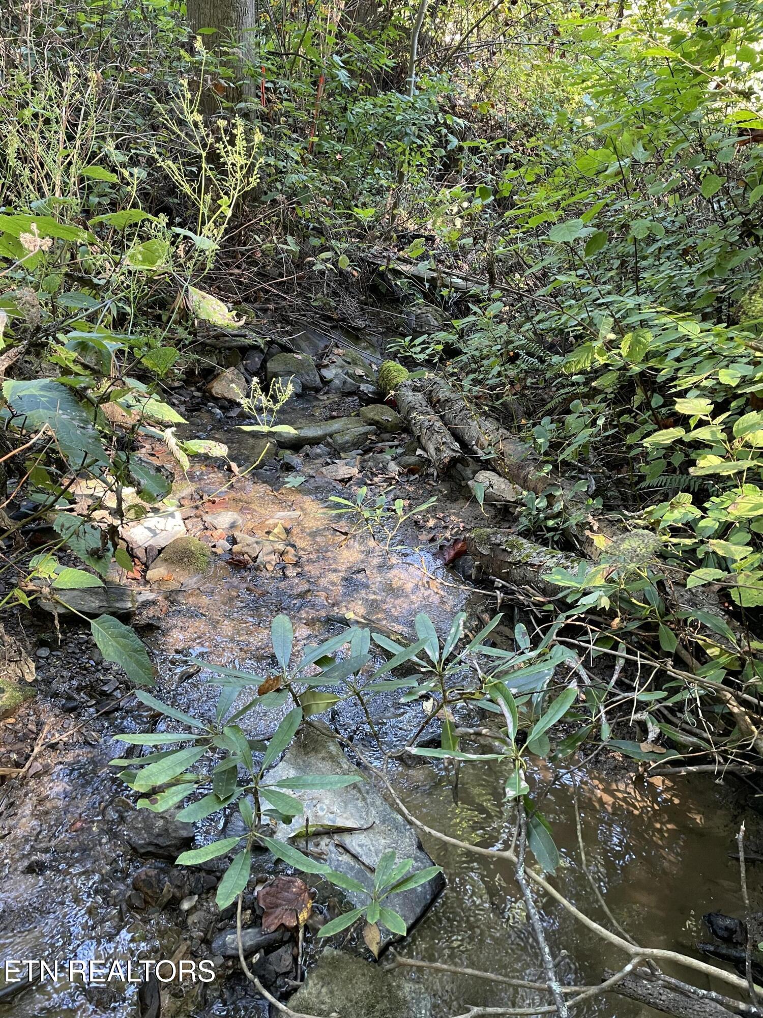 1032 Deep Hollow Road Gatlinburg TN 37738
