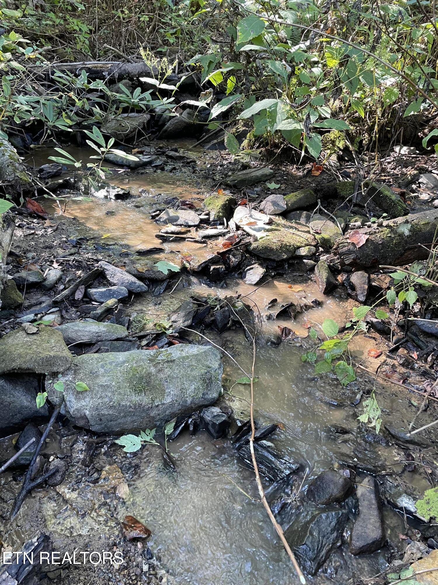 1032 Deep Hollow Road Gatlinburg TN 37738