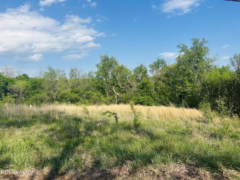 LOT #26 Ritz View Drive Blaine TN 37709