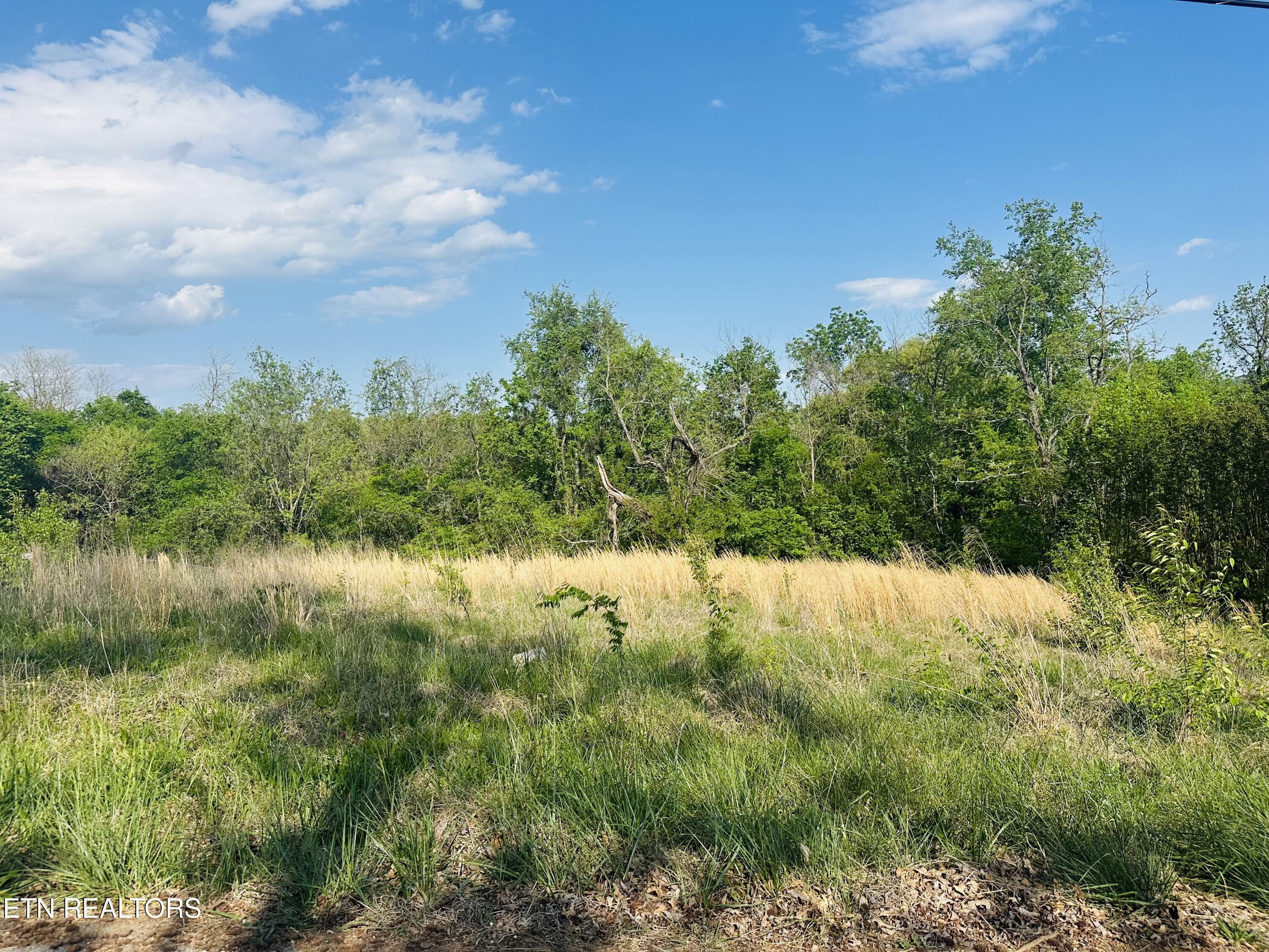 Lot #26 Ritz View Drive Blaine TN 37709