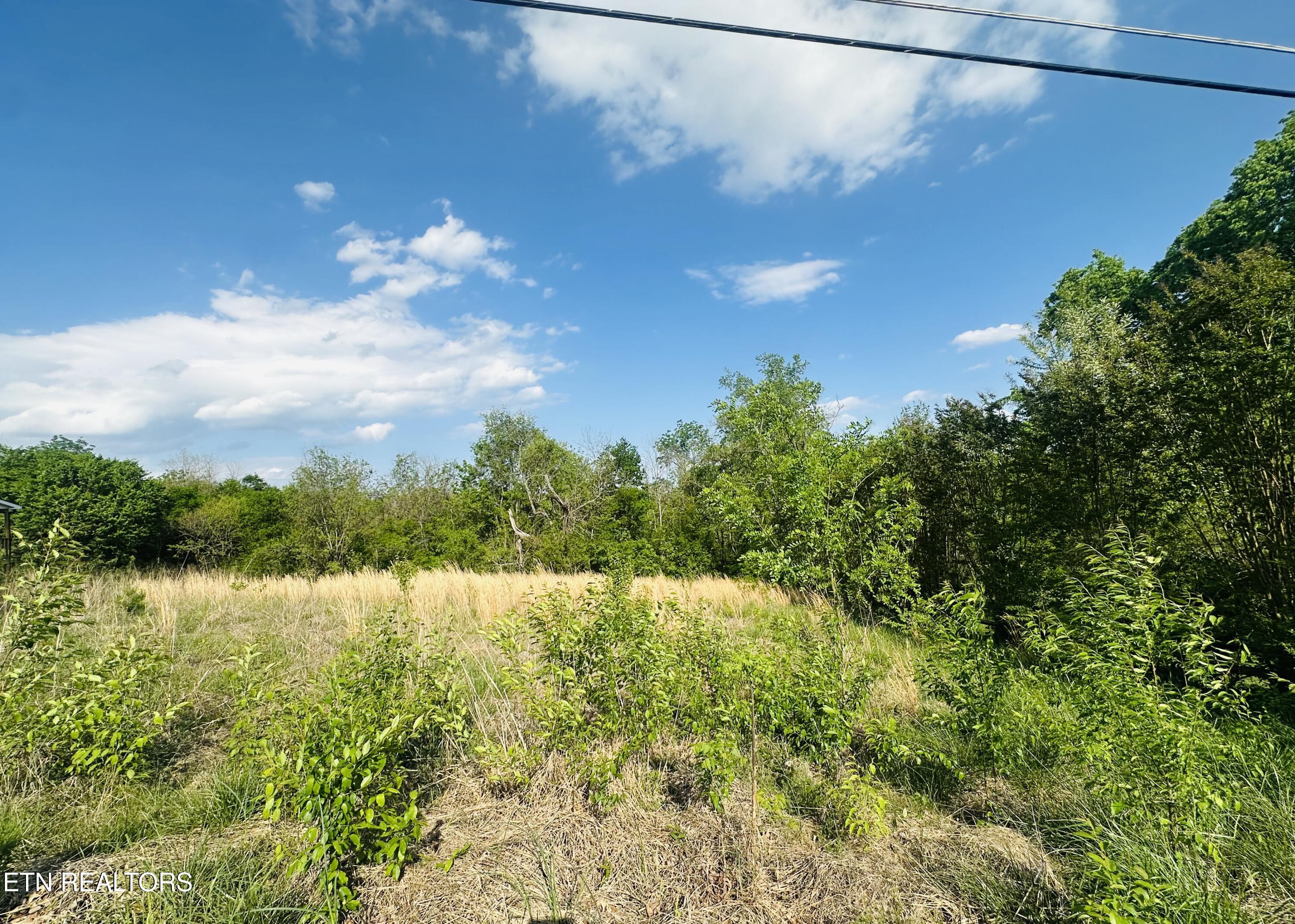 Lot #26 Ritz View Drive Blaine TN 37709