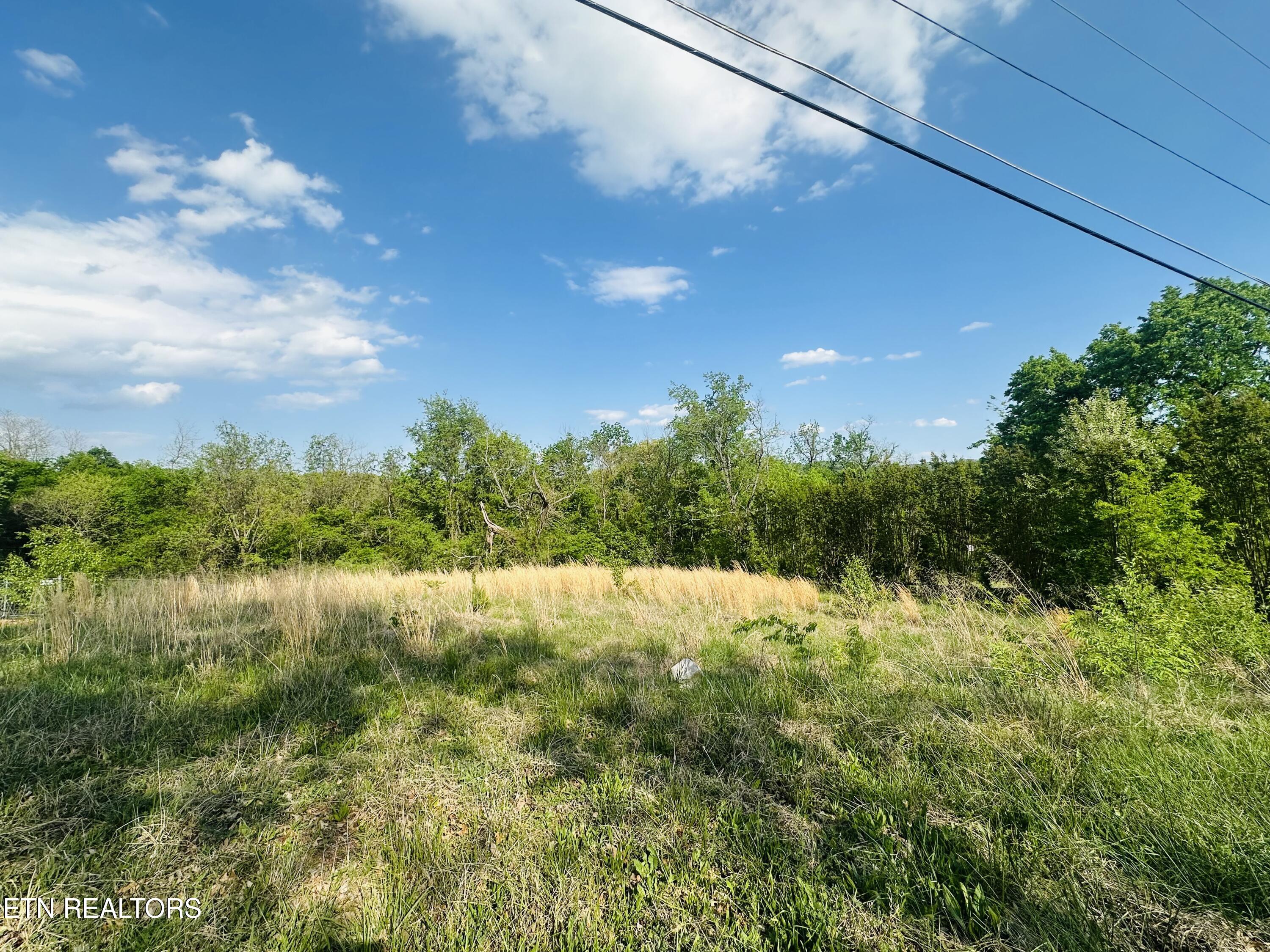 Lot #26 Ritz View Drive Blaine TN 37709