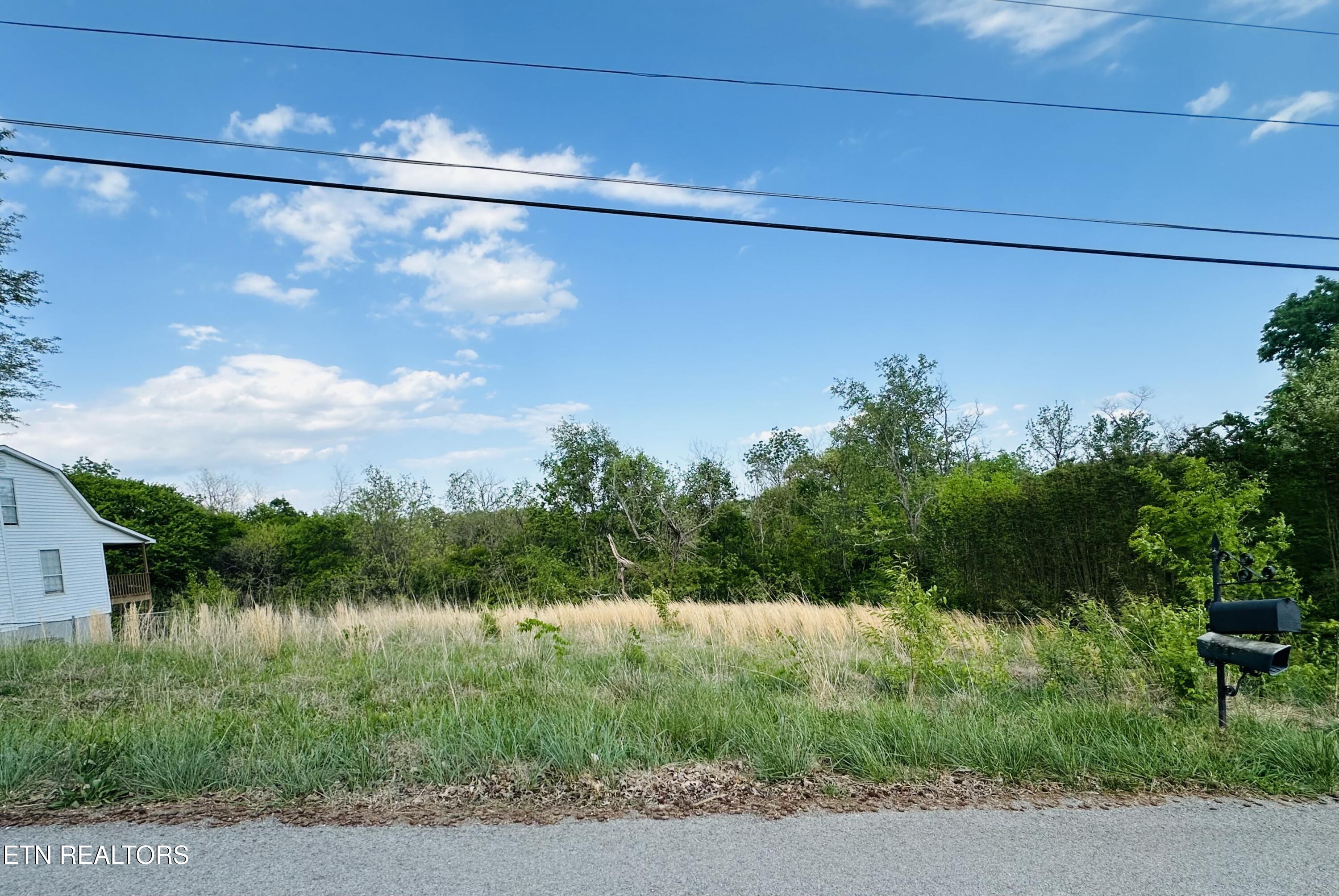 Lot #26 Ritz View Drive Blaine TN 37709