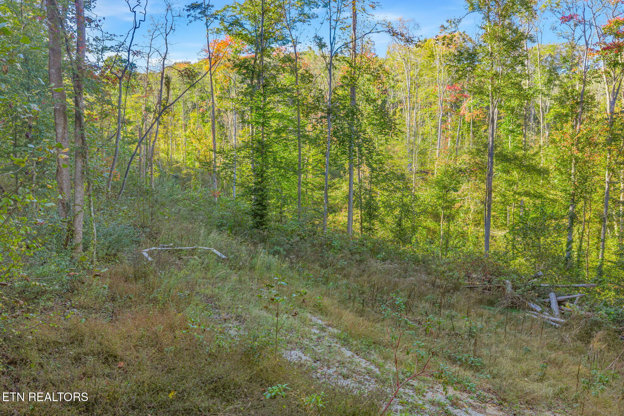 132 Coventry Andersonville TN 37705